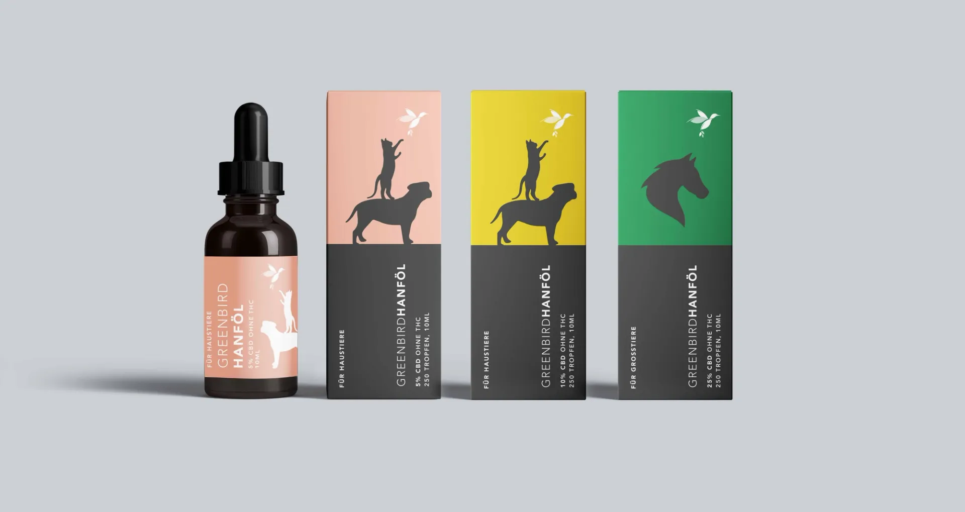 Изображение от проекта Greenbird — project image 7