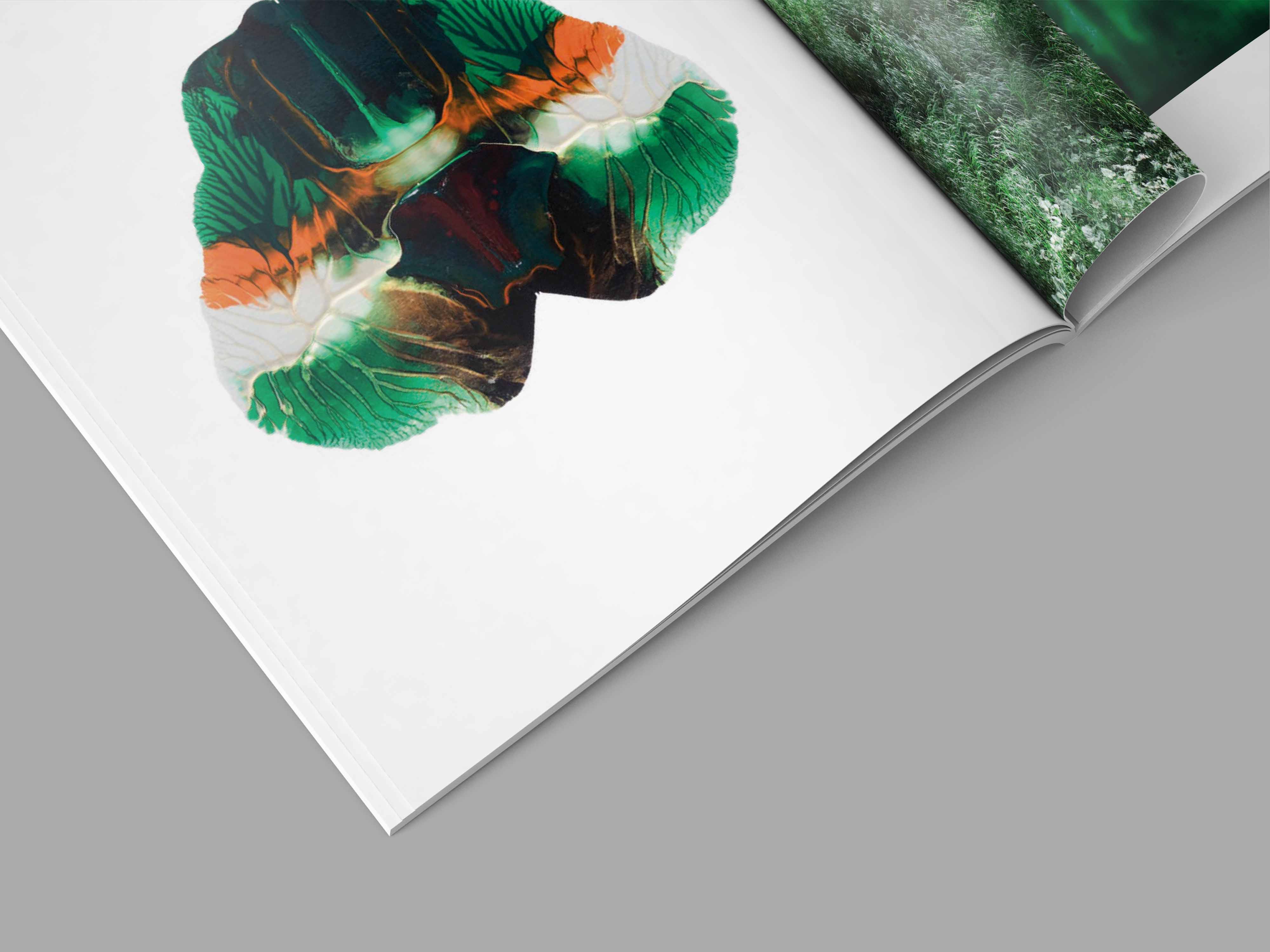 Visual from the A l'ur dal gad project — project image 9