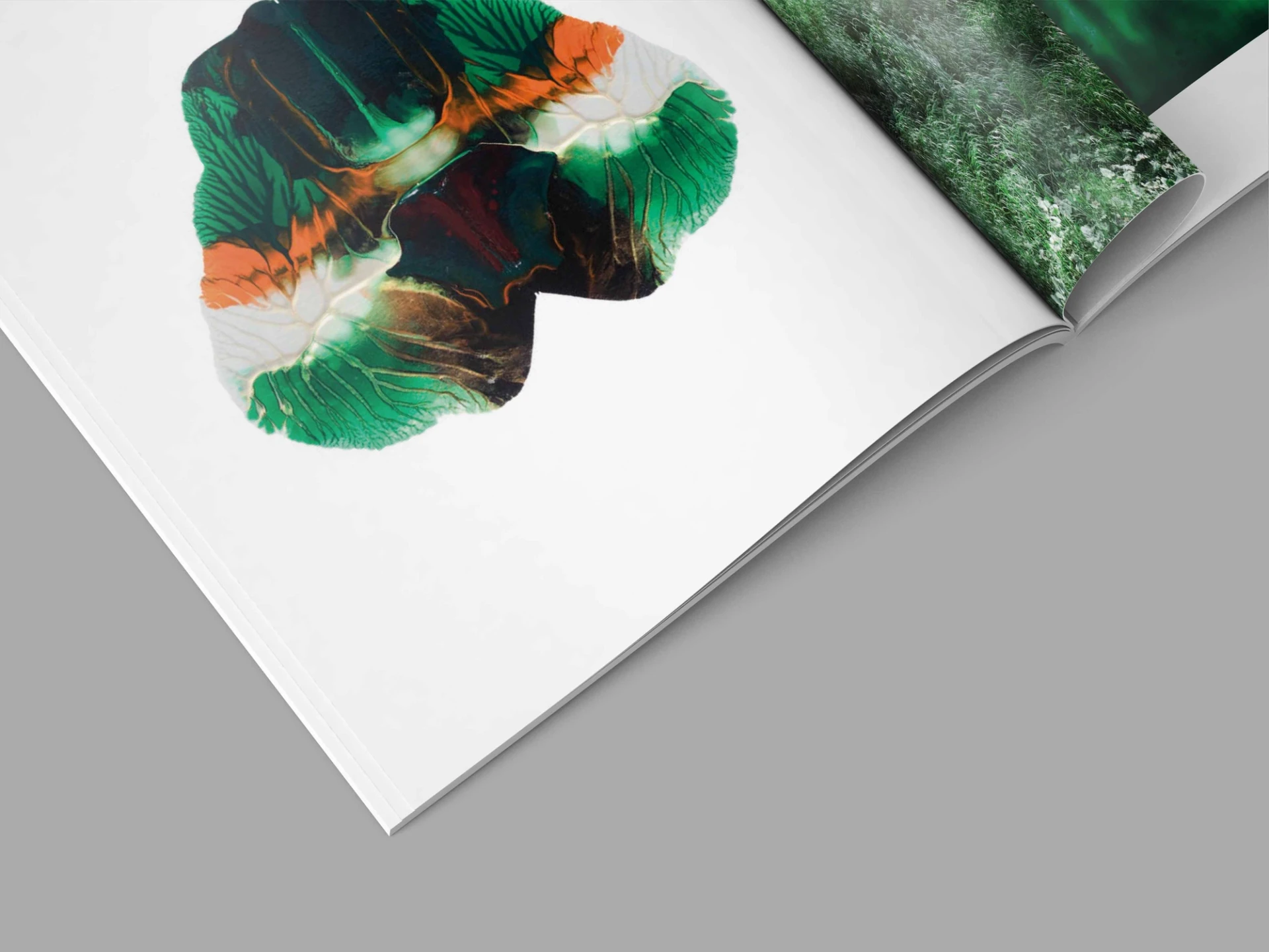 Visual from the A l'ur dal gad project — project image 9