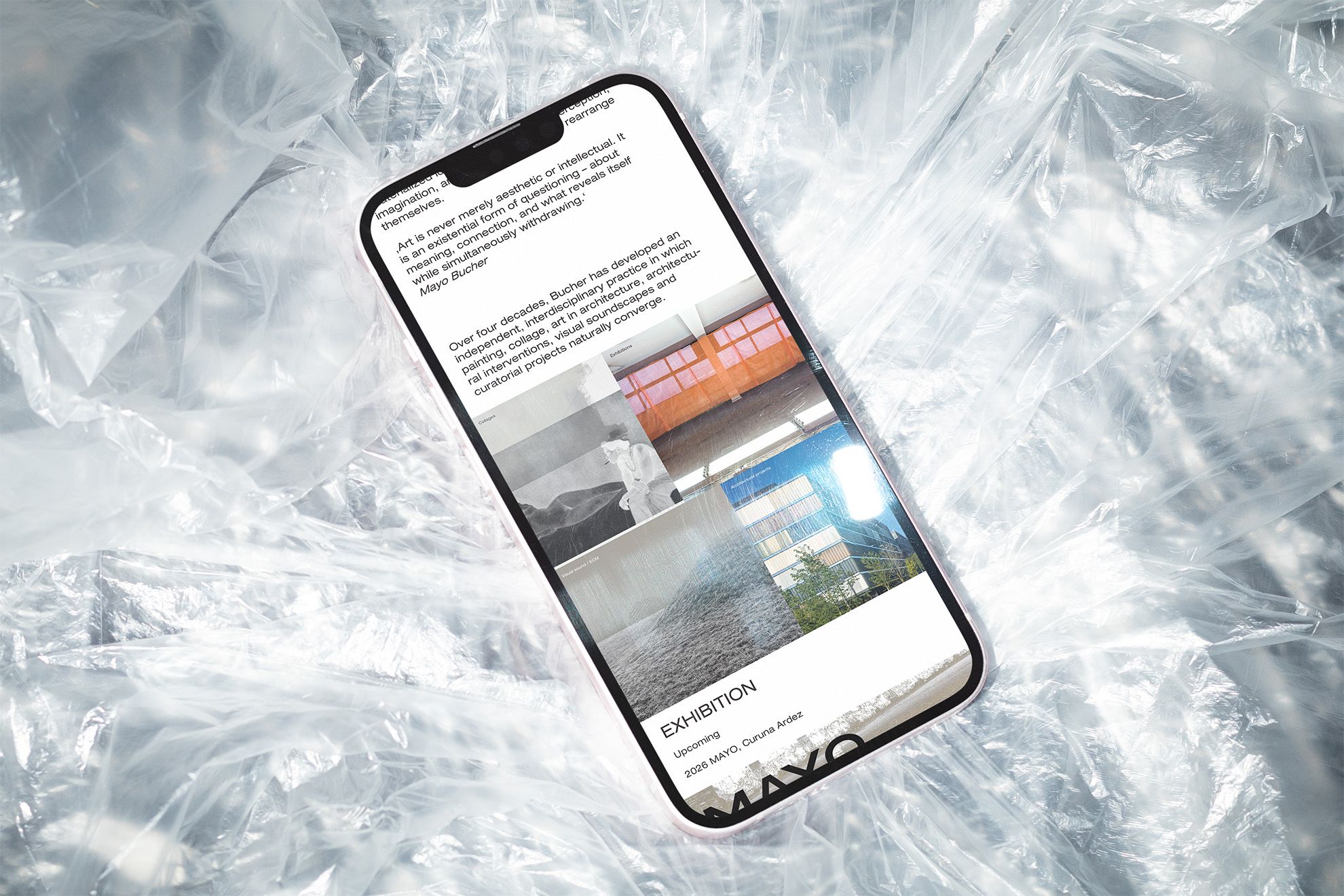 Visual from the Mayo Website project — project image 7