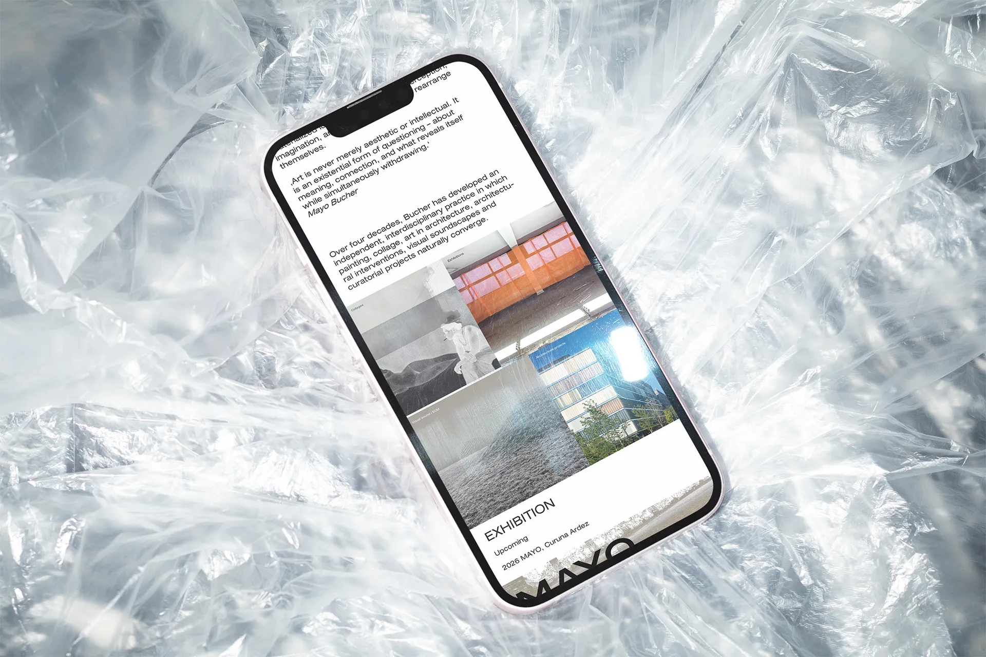 Visual aus dem Projekt Mayo Website — project image 7