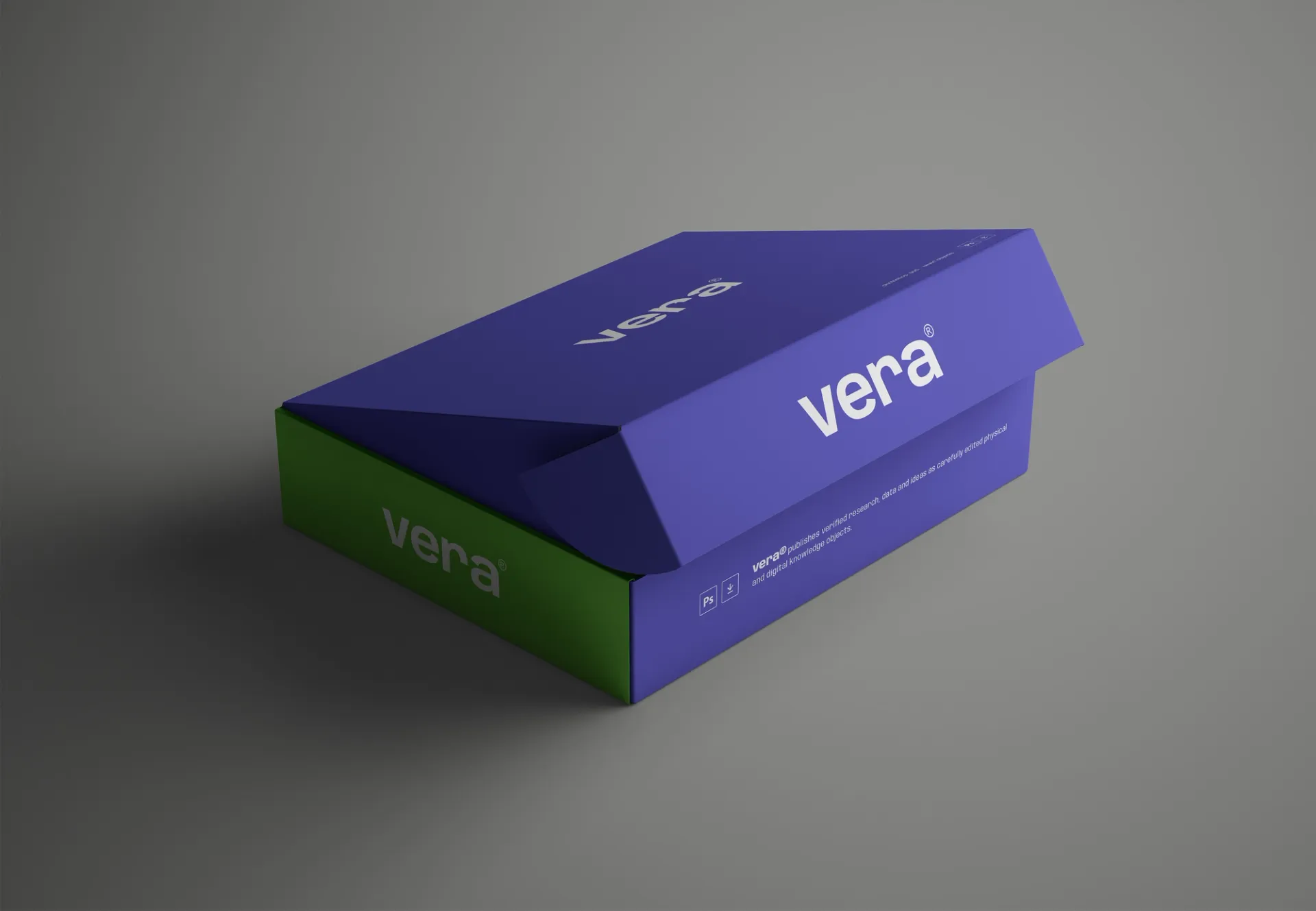 Visual aus dem Projekt Vera — project image 5
