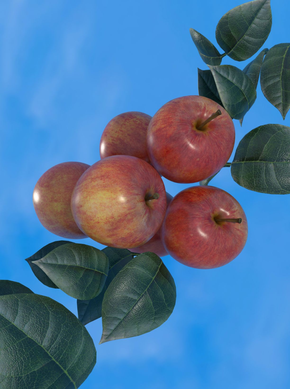 Go to project Wir Schwyzer