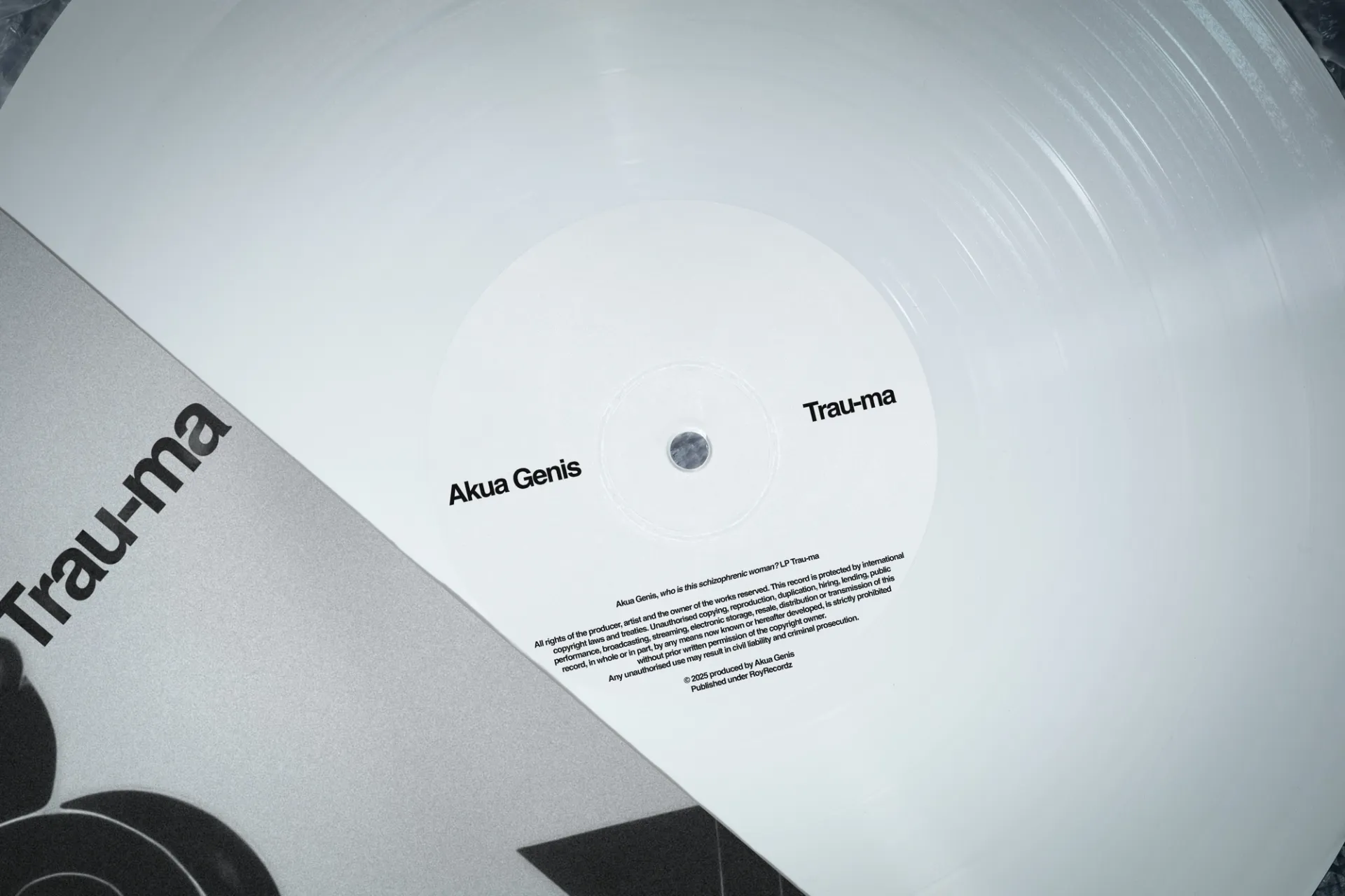 Изображение от проекта Akua Genis — project image 5