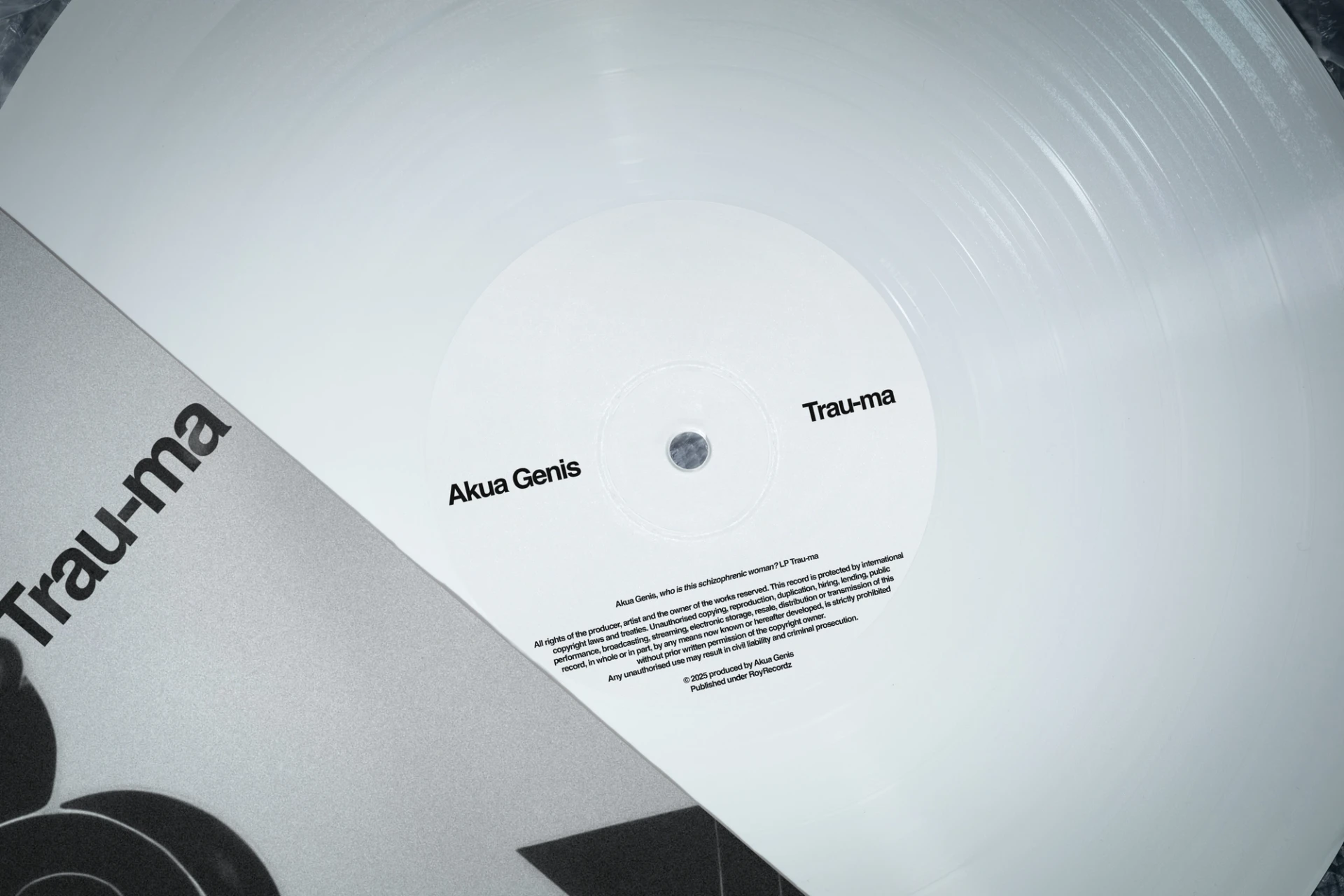 Visual aus dem Projekt Akua Genis — project image 5