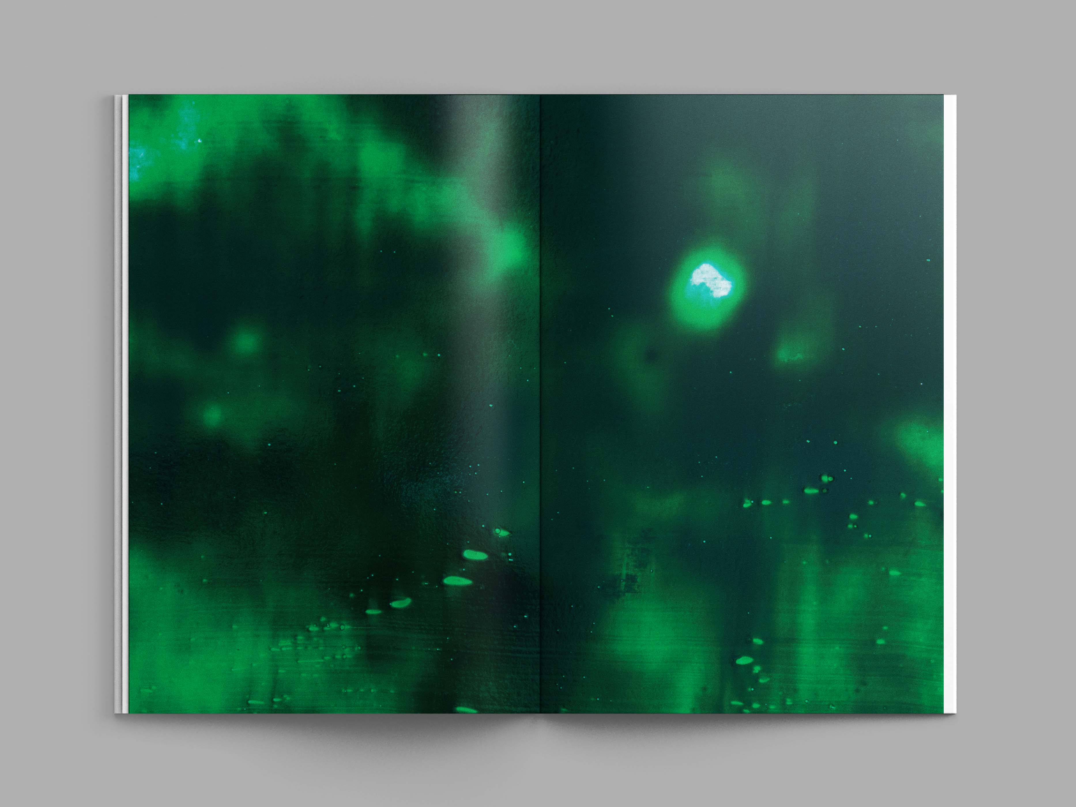 Visual from the A l'ur dal gad project — project image 8