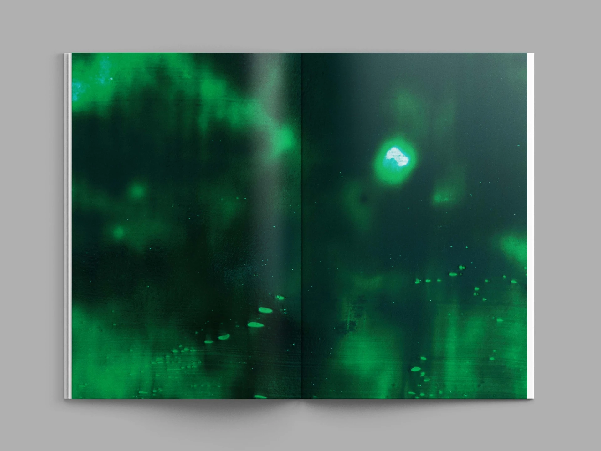 Visual from the A l'ur dal gad project — project image 8