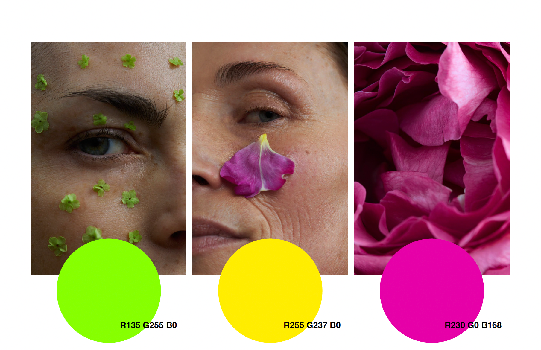 Visual from the JK7 Cosmetics project — project image 10