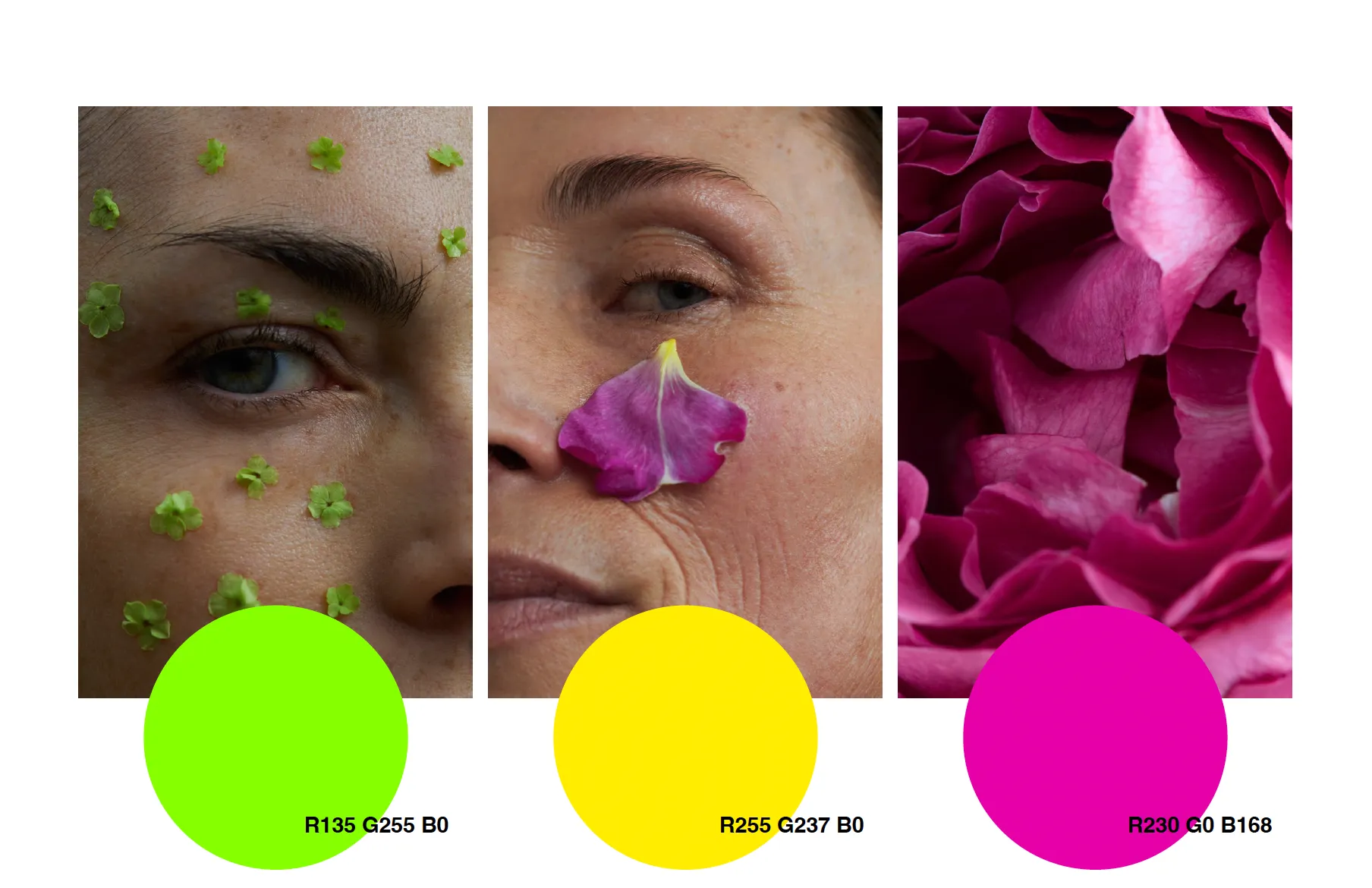 Изображение от проекта JK7 Cosmetics — project image 10