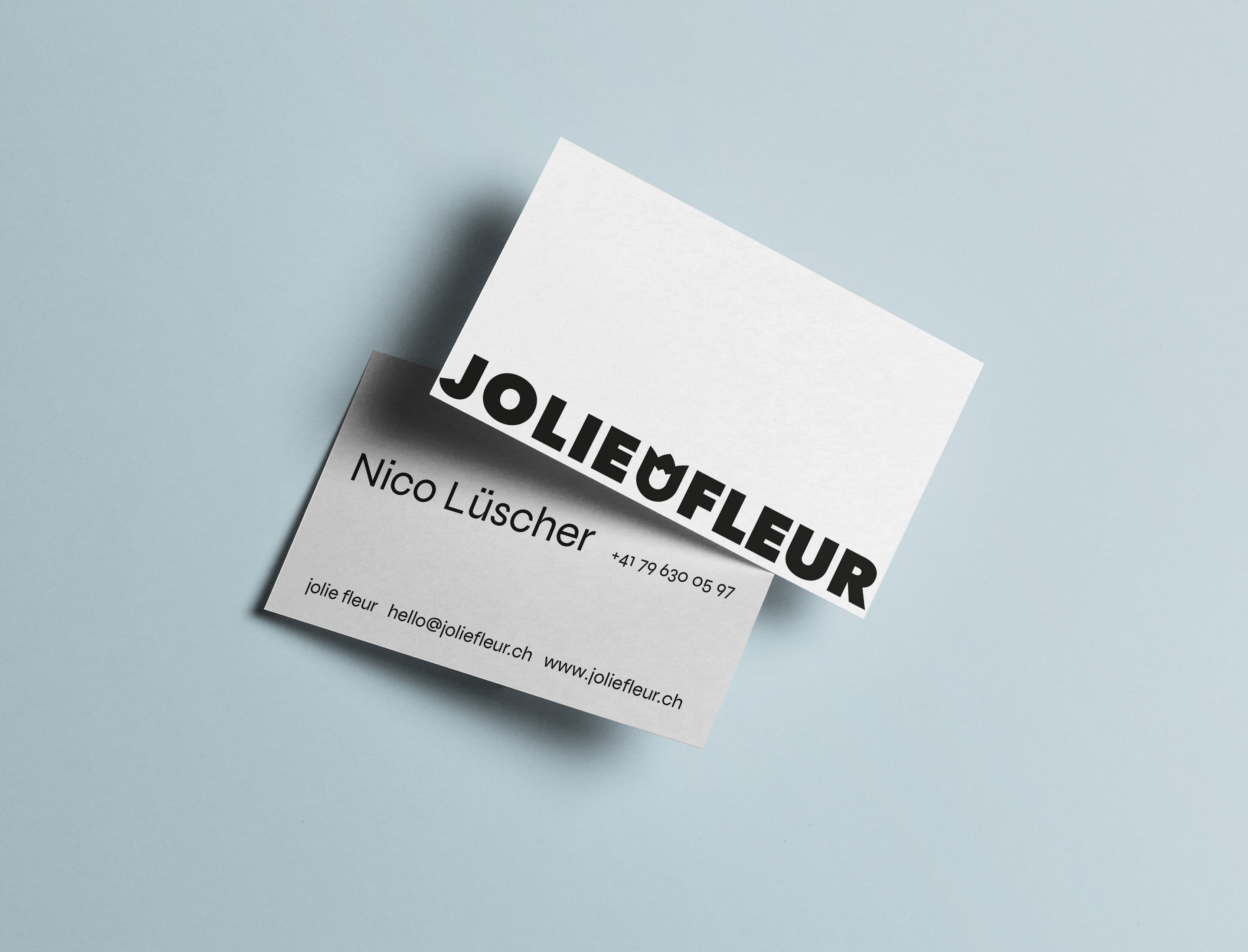 Visual from the Jolie Fleur project — project image 11