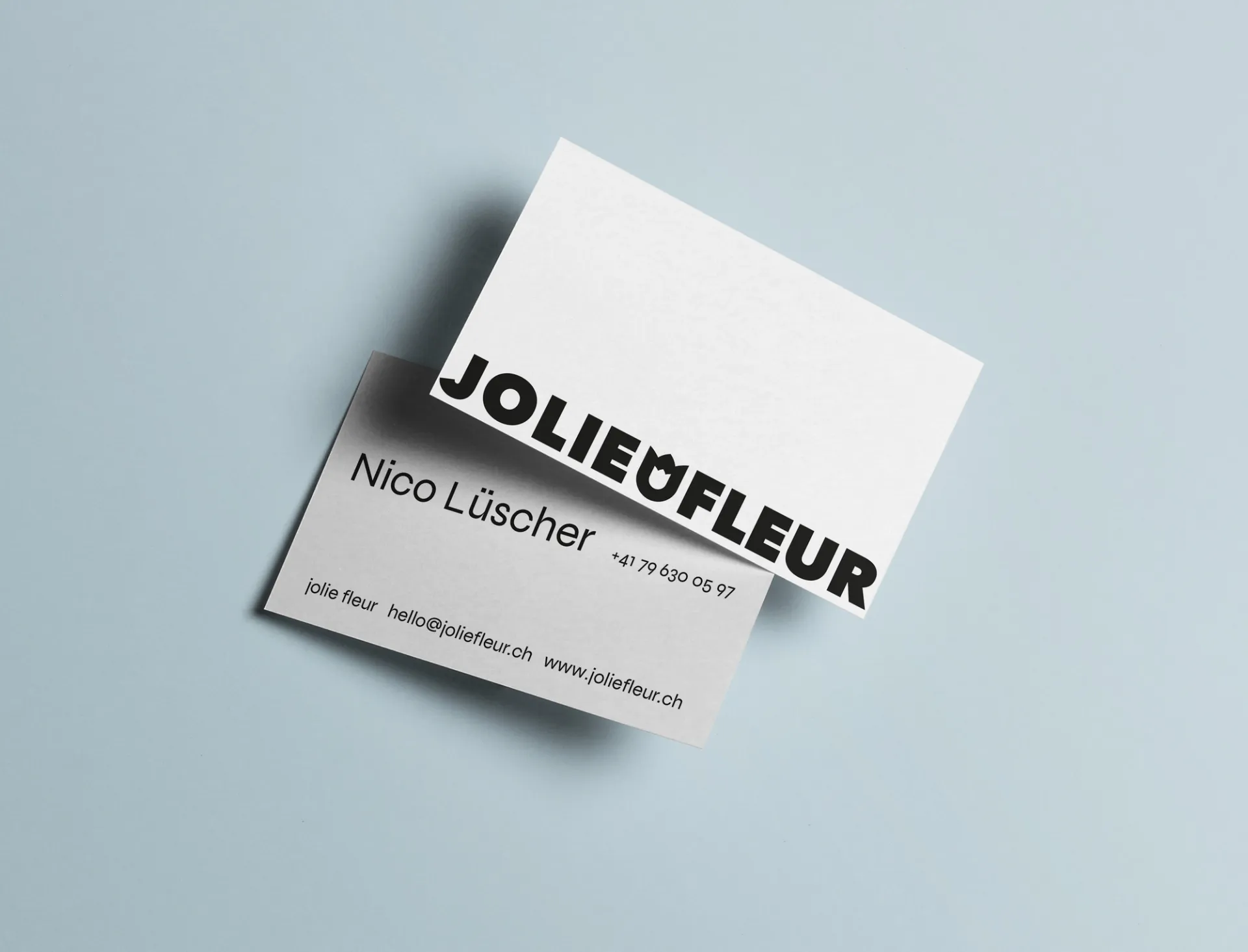 Visual aus dem Projekt Jolie Fleur — project image 11