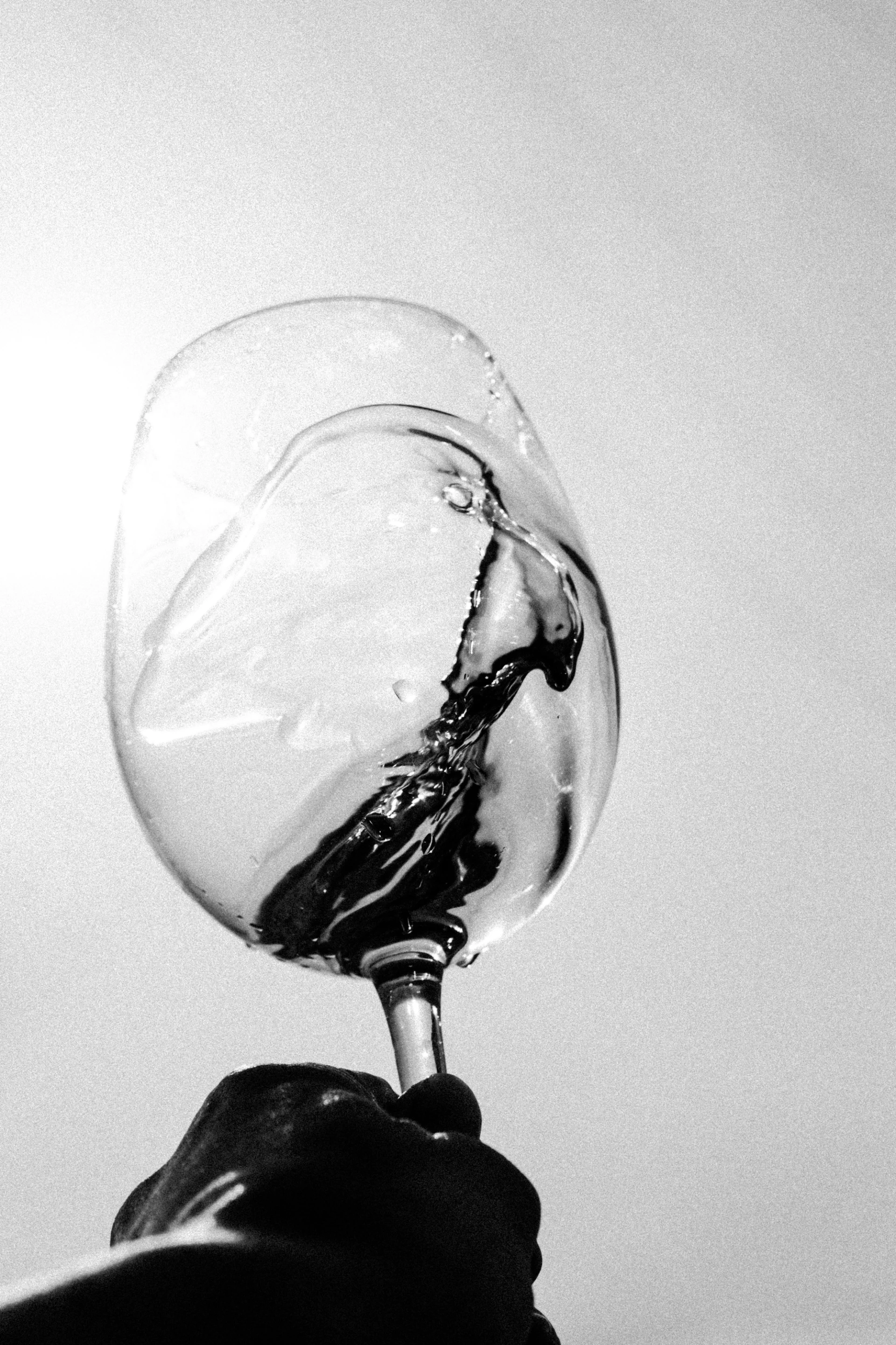 Visual aus dem Projekt Almeida Weine — project image 18