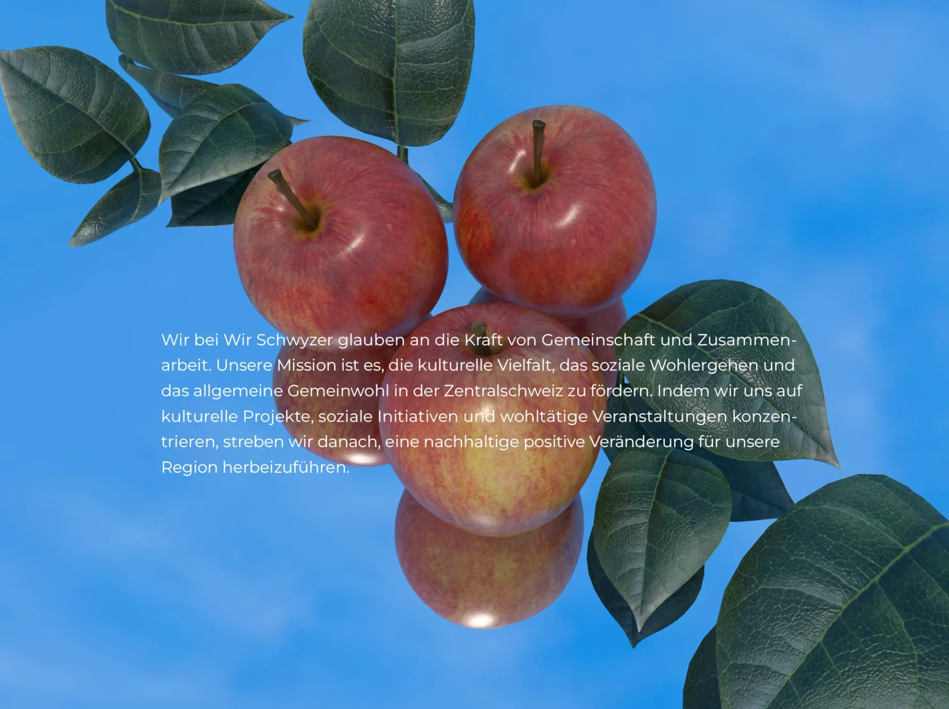 Visual aus dem Projekt Wir Schwyzer — project image 4