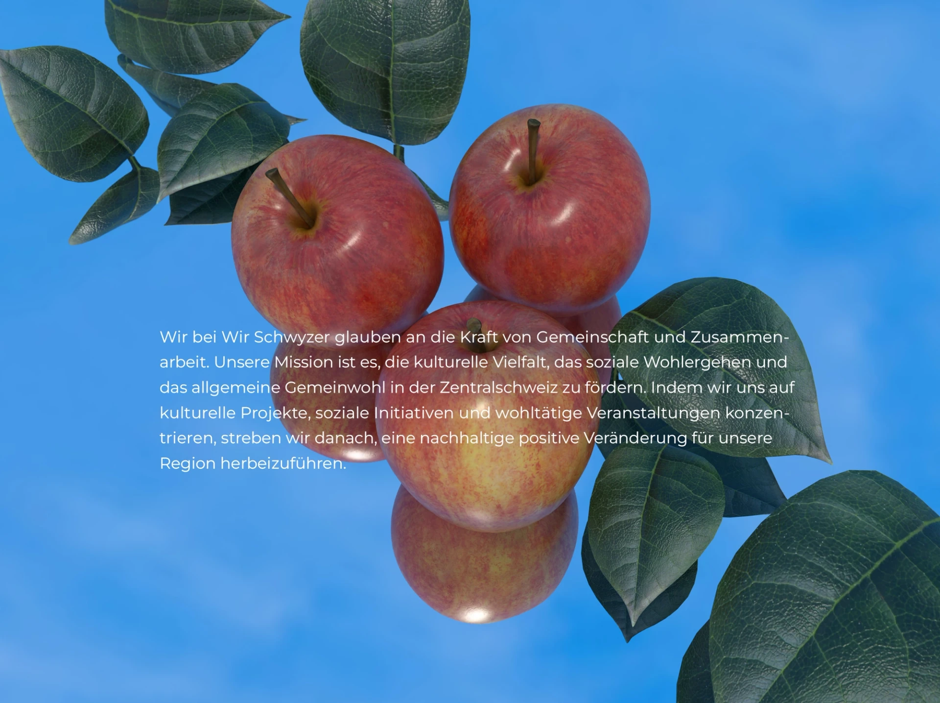 Visual aus dem Projekt Wir Schwyzer — project image 4