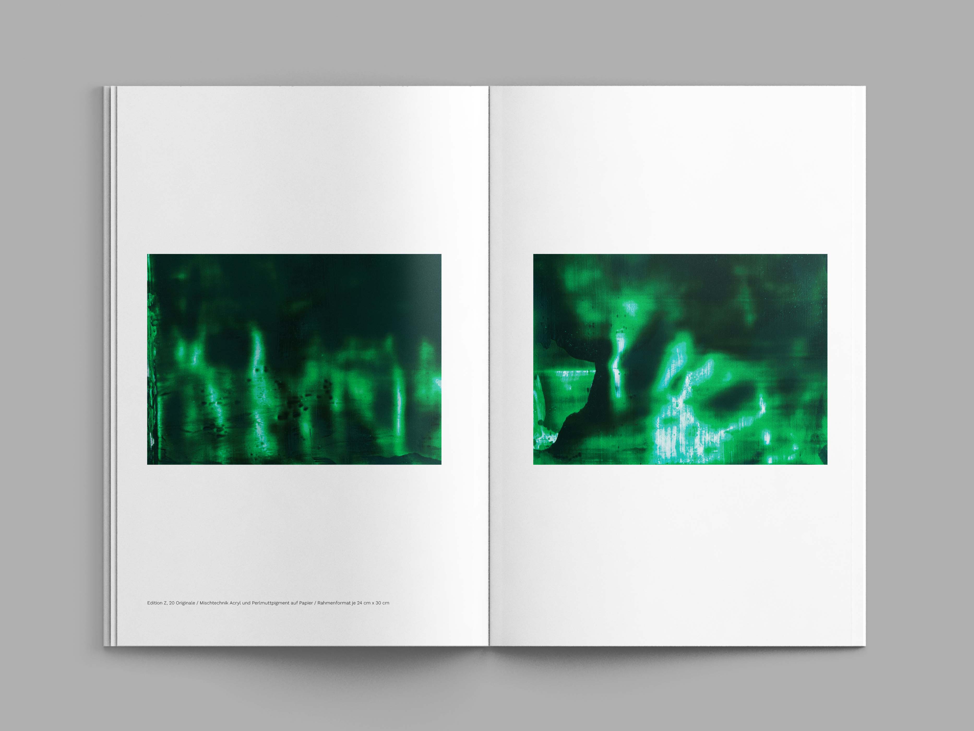 Visual from the A l'ur dal gad project — project image 16