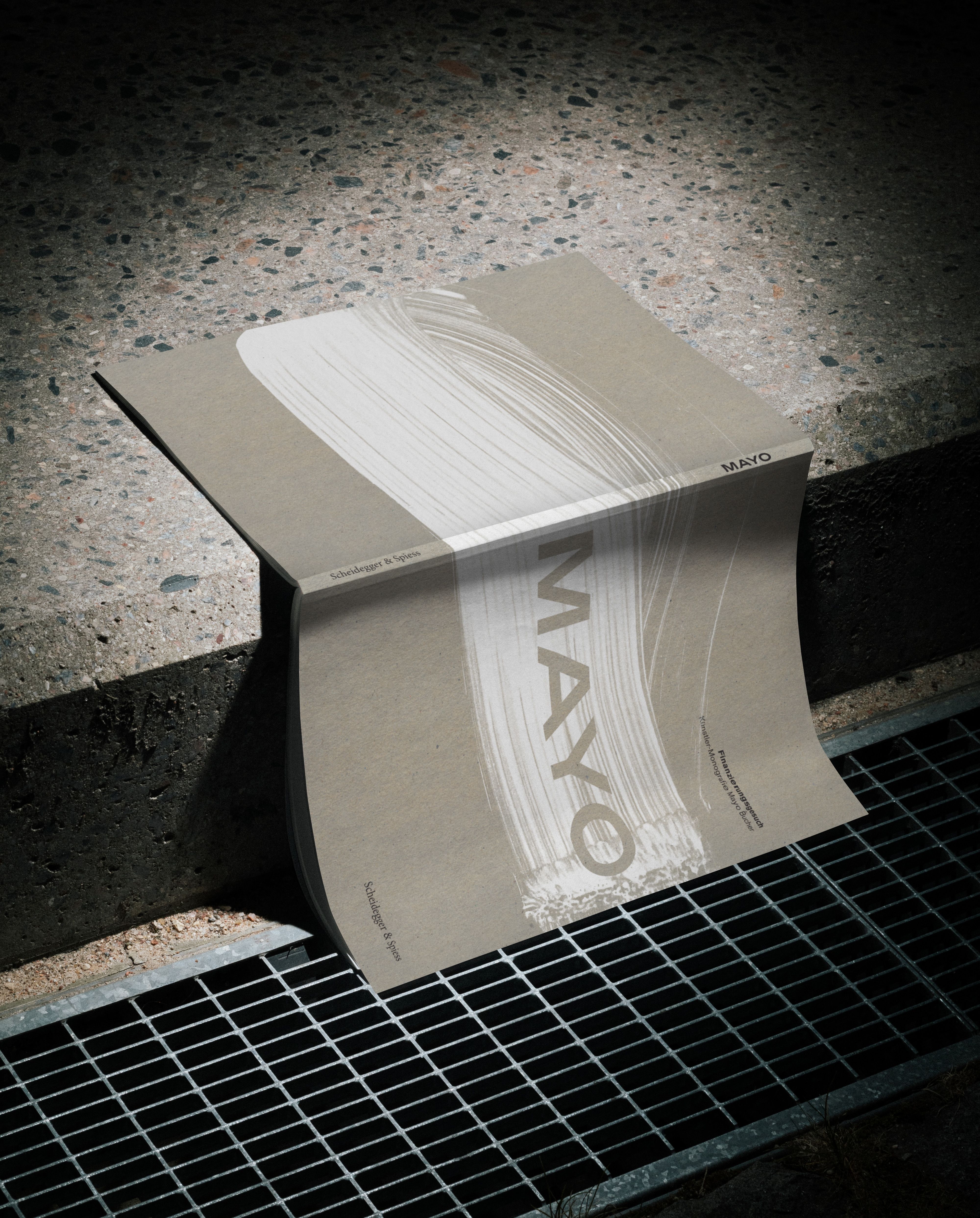 Изображение от проекта Mayo Dossier — project image 8