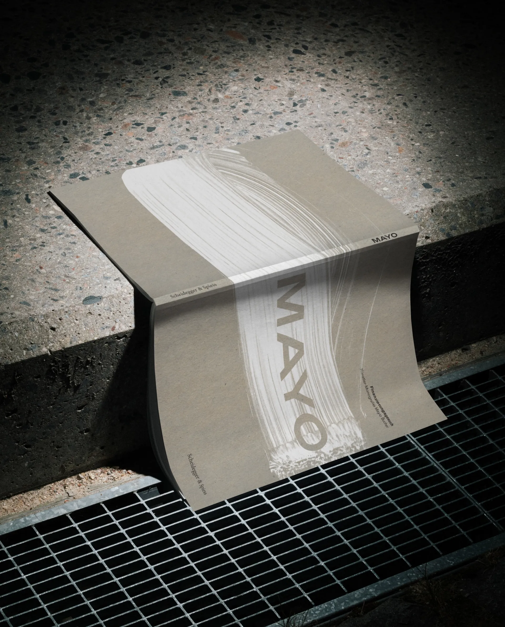 Изображение от проекта Mayo Dossier — project image 8