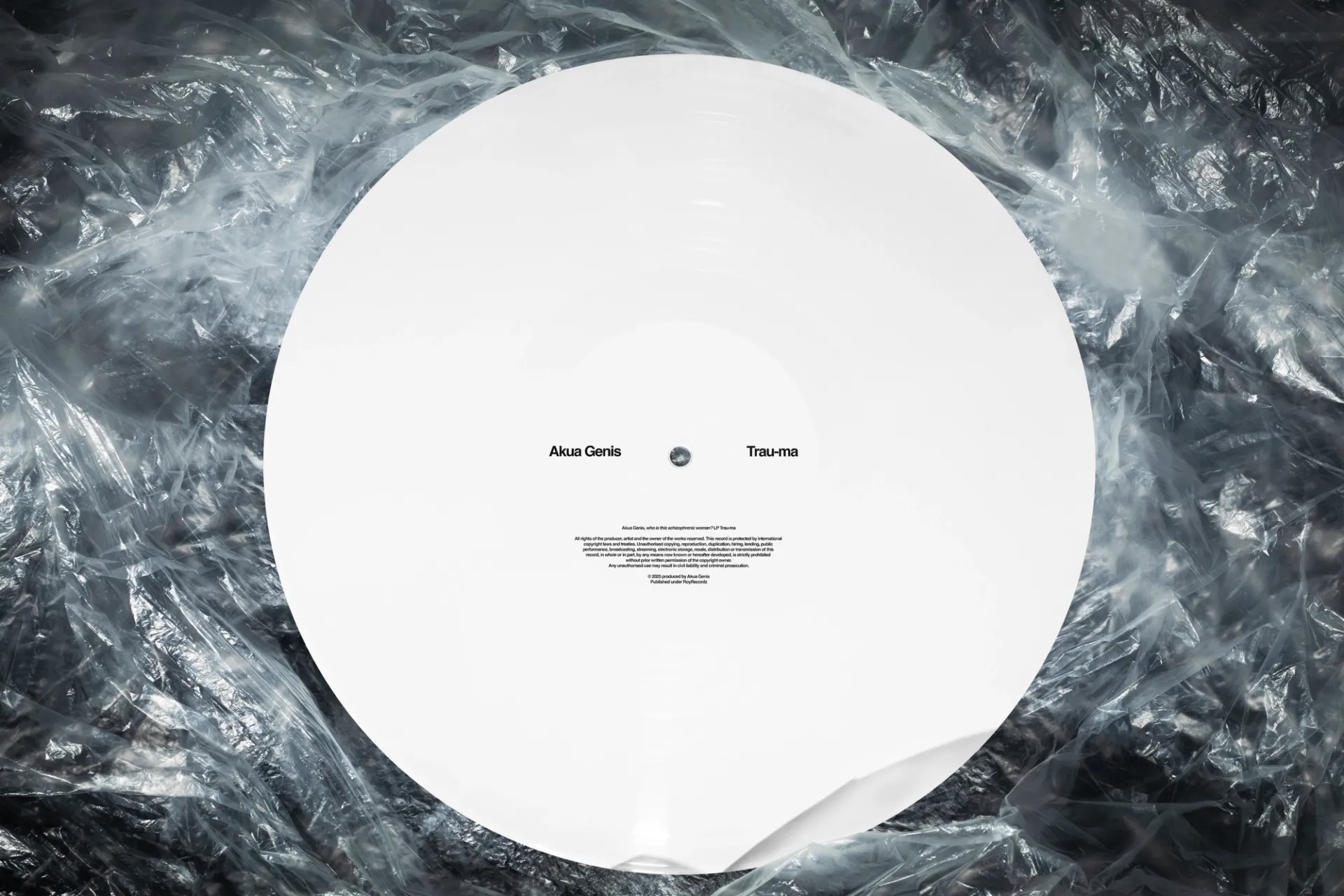 Изображение от проекта Akua Genis — project image 4