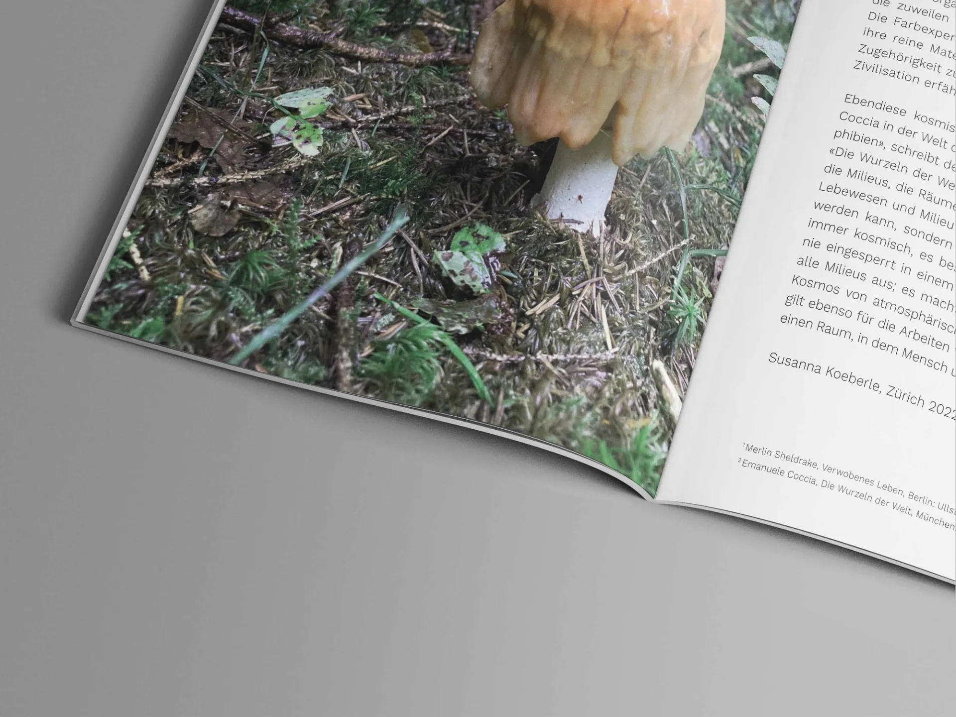 Изображение от проекта A l'ur dal gad — project image 4