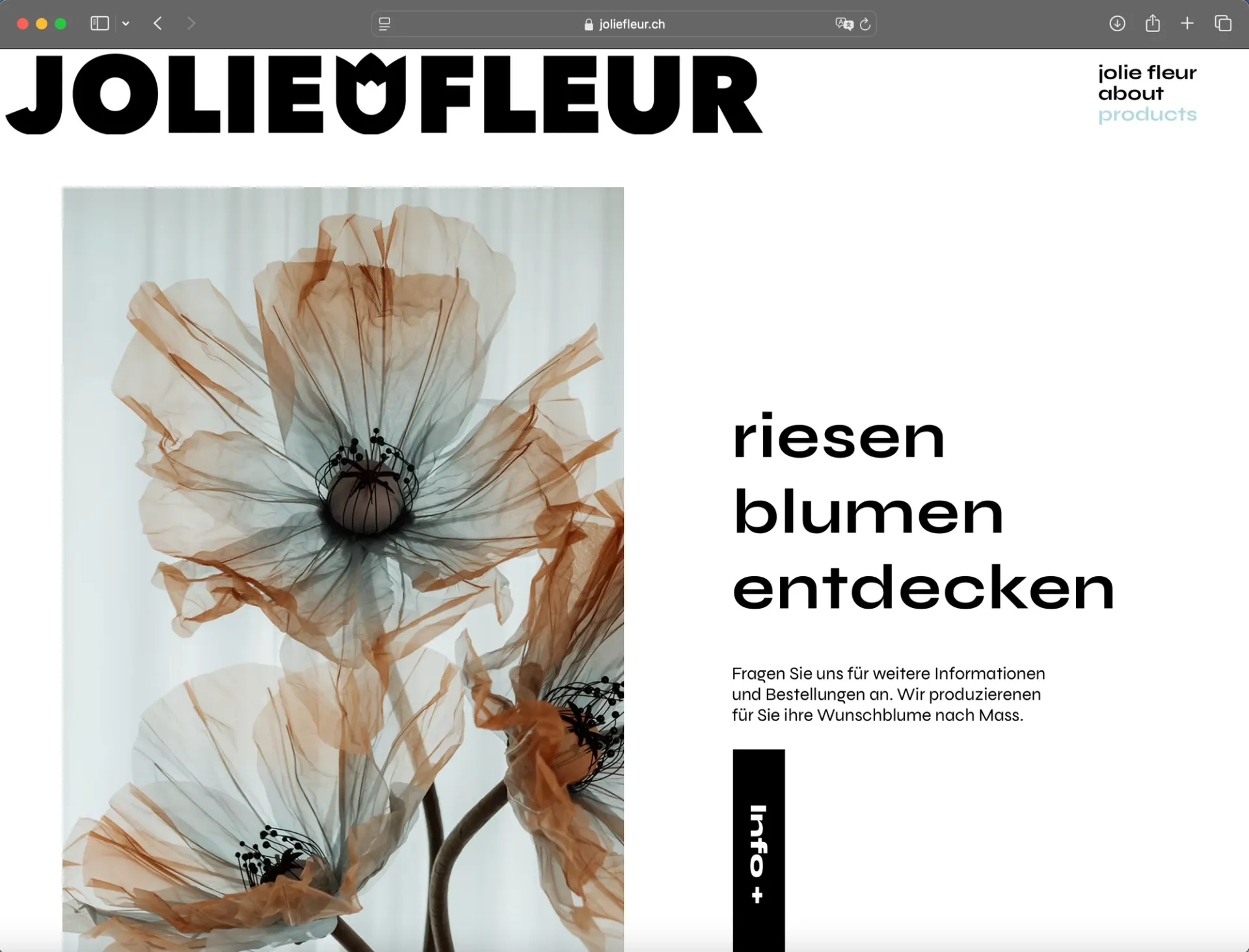Visual aus dem Projekt Jolie Fleur — project image 3