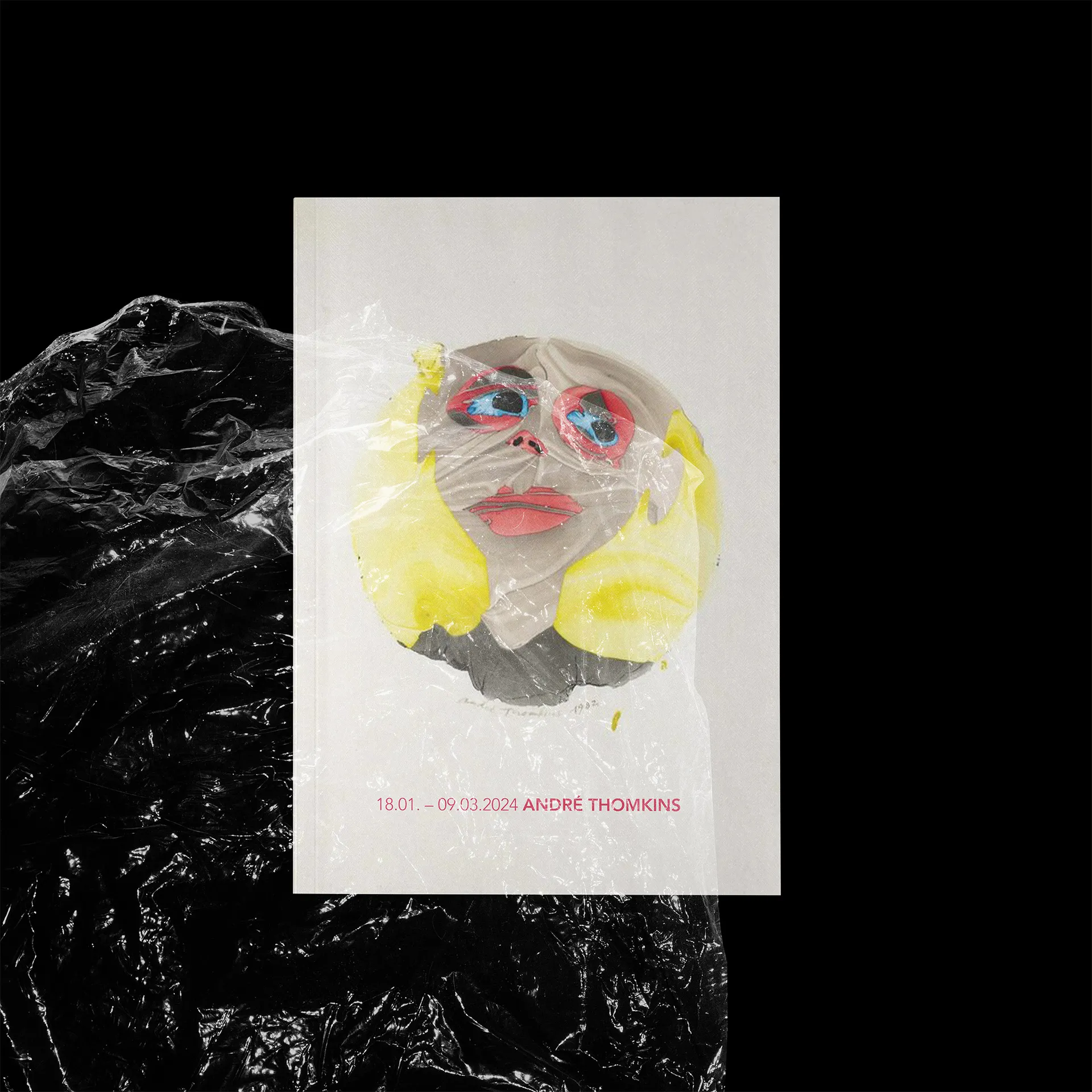 Visual aus dem Projekt Andre Thomkins — project image 6