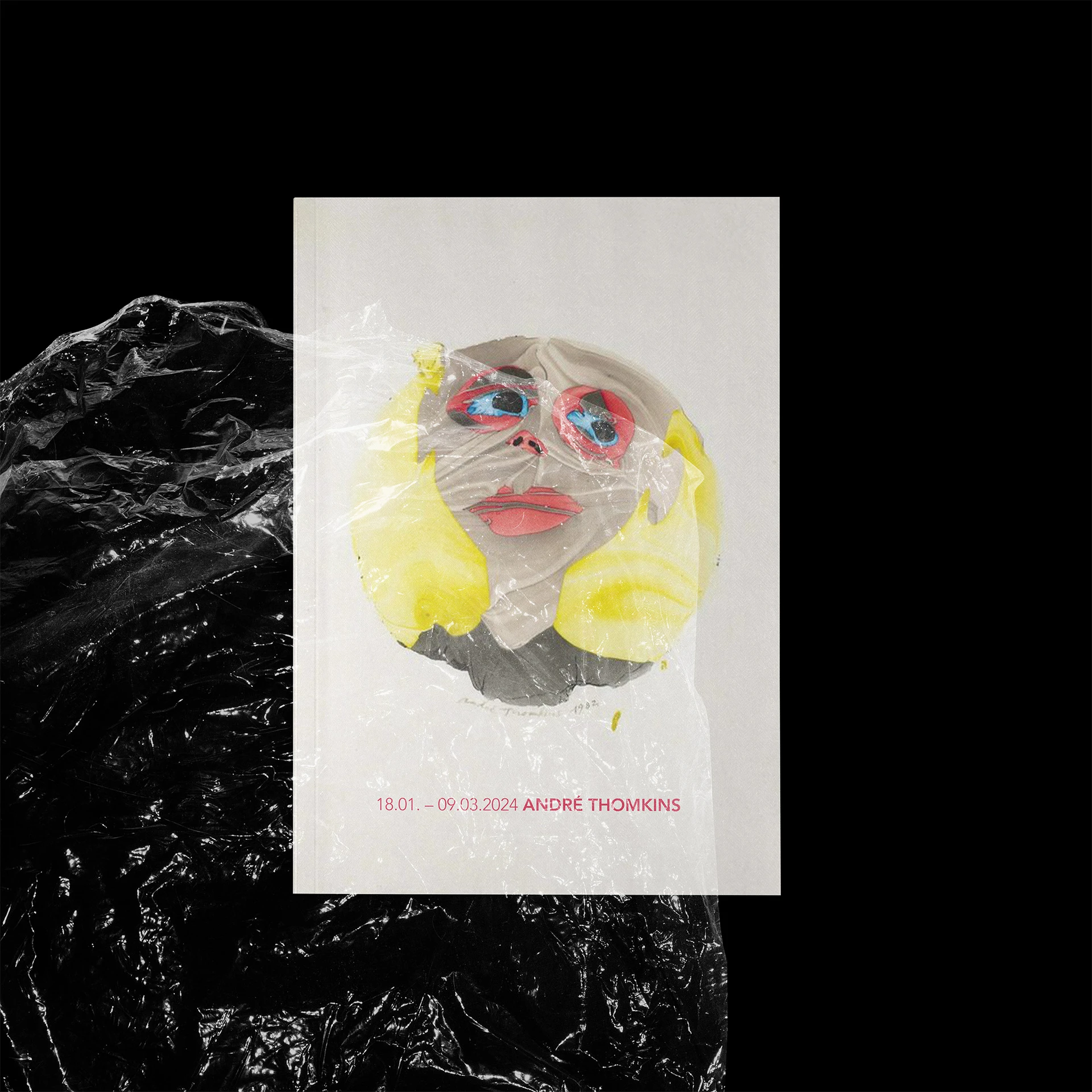 Visual aus dem Projekt Andre Thomkins — project image 6