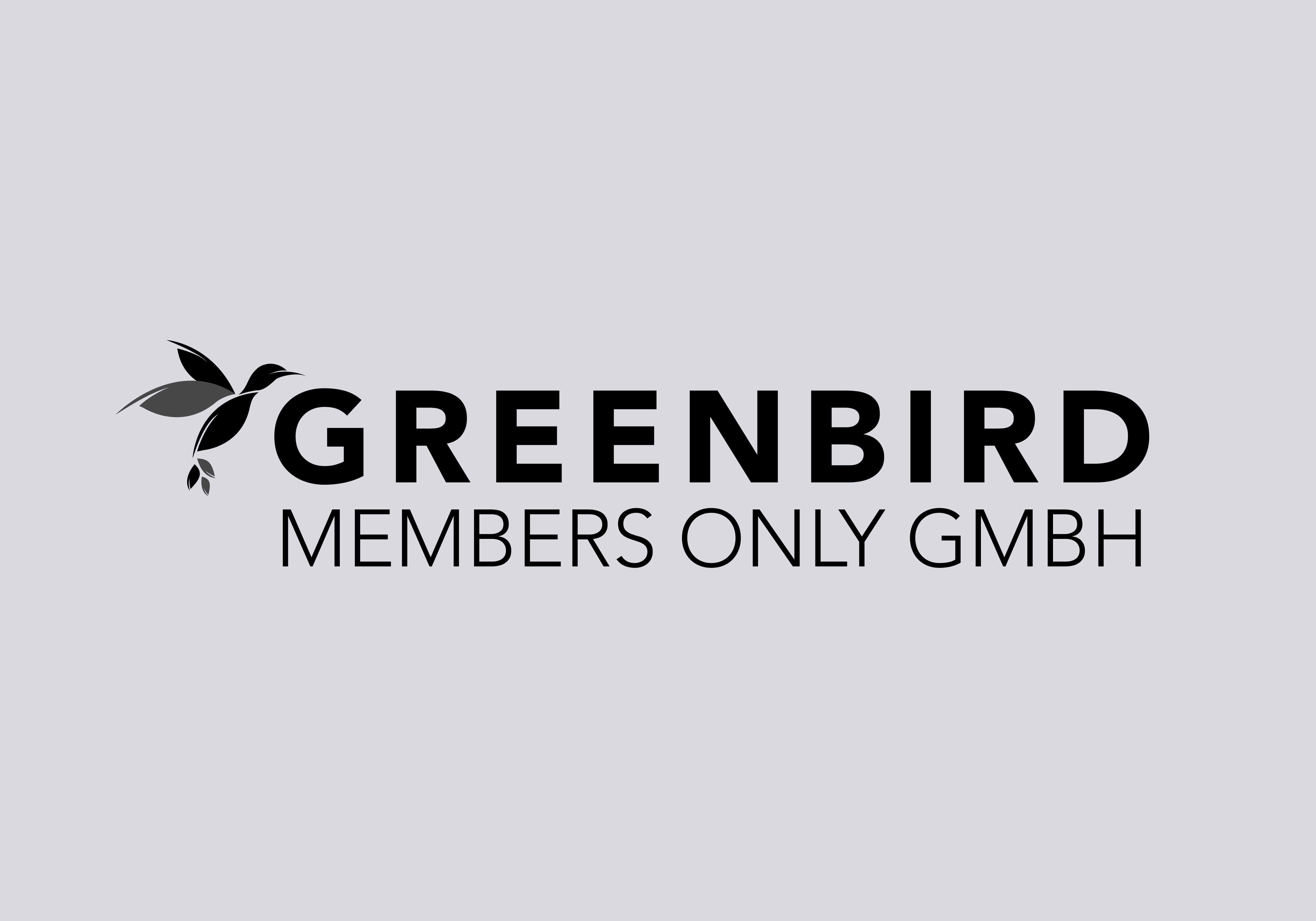 Visual from the Greenbird project — project image 2