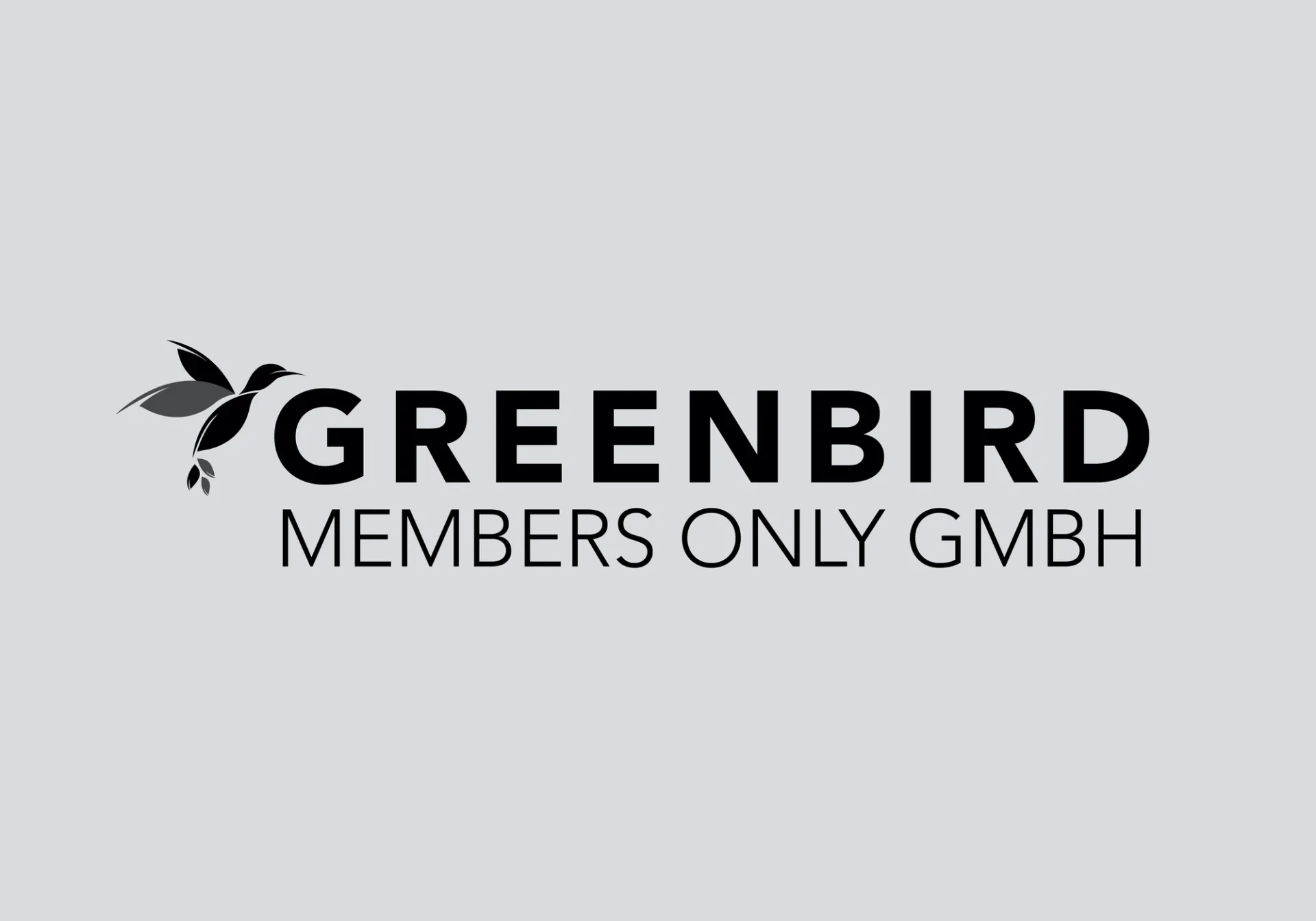Изображение от проекта Greenbird — project image 2