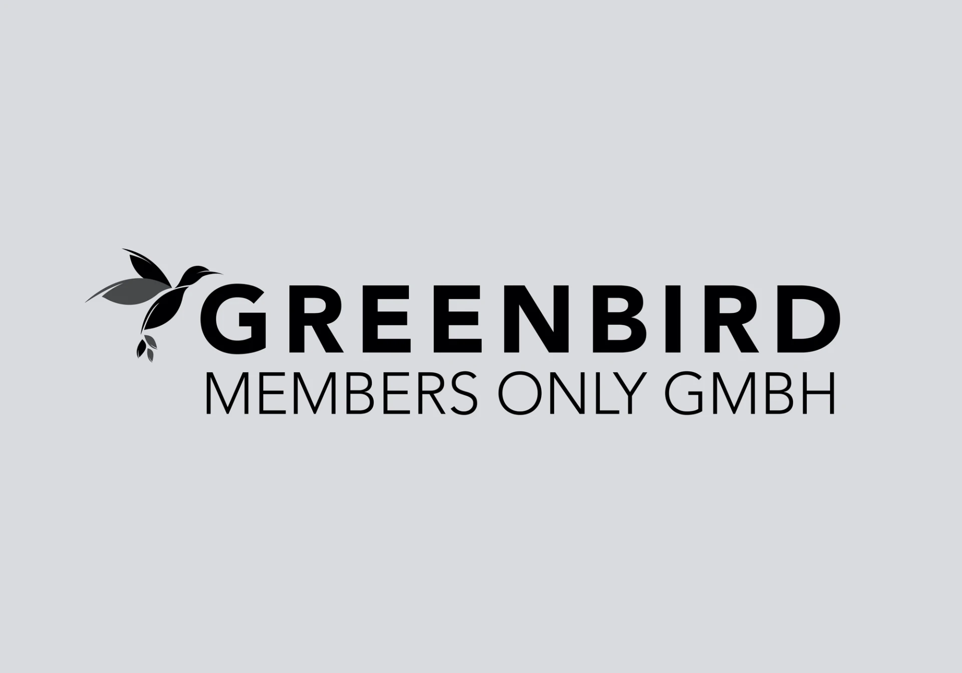 Visual aus dem Projekt Greenbird — project image 2