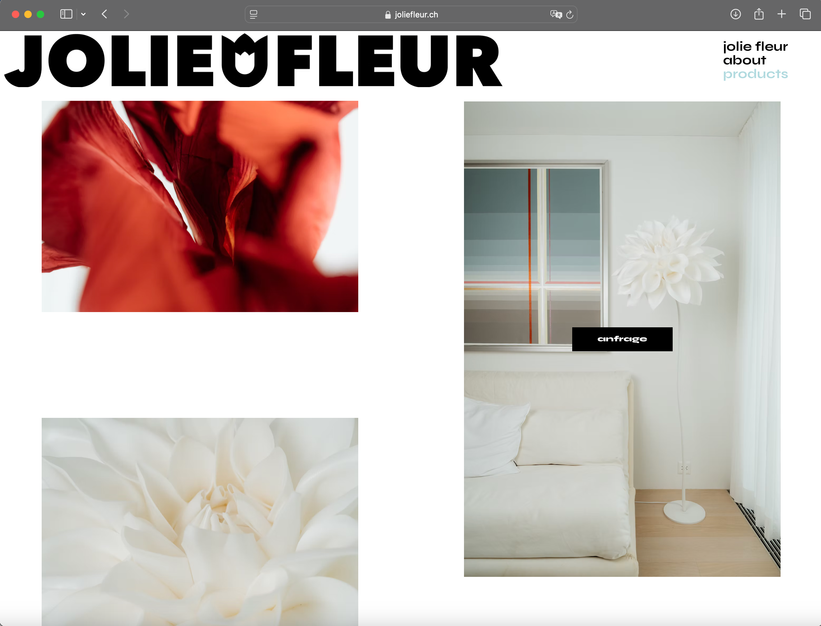 Visual from the Jolie Fleur project — project image 6