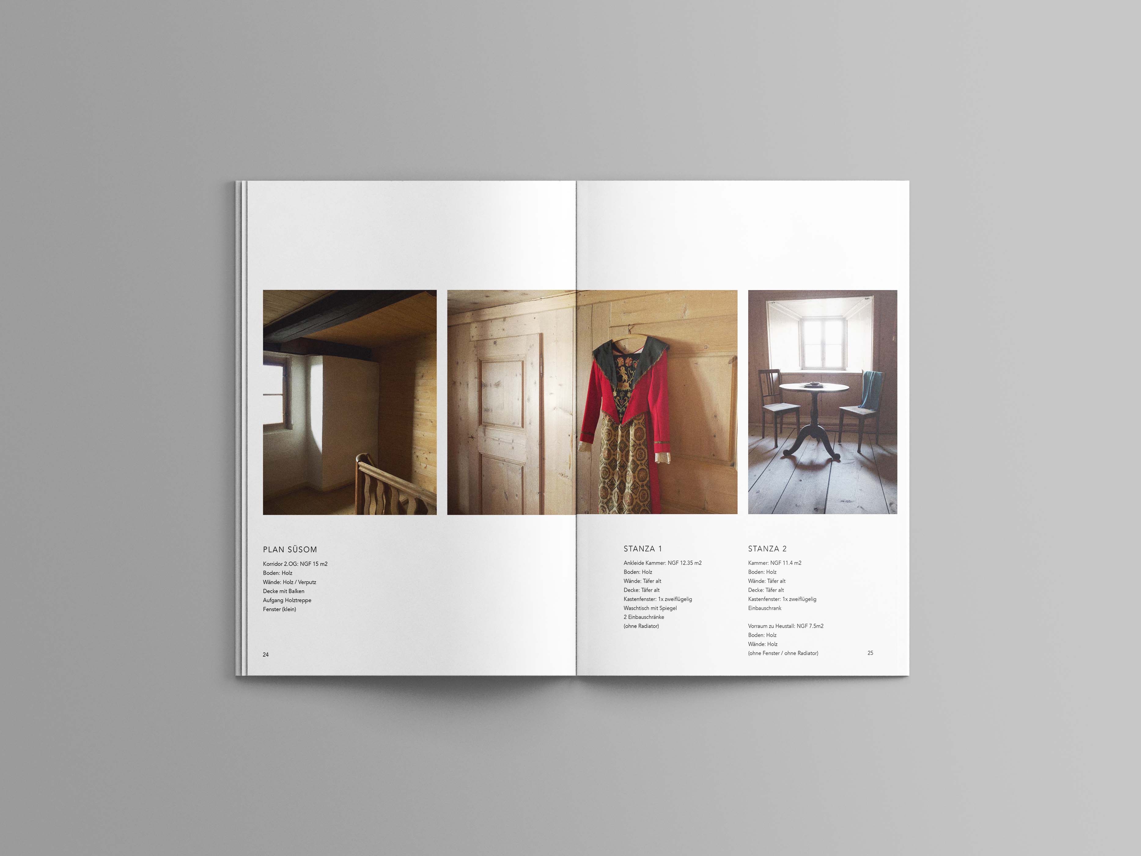 Visual from the Engiadin, Real Estate project — project image 15