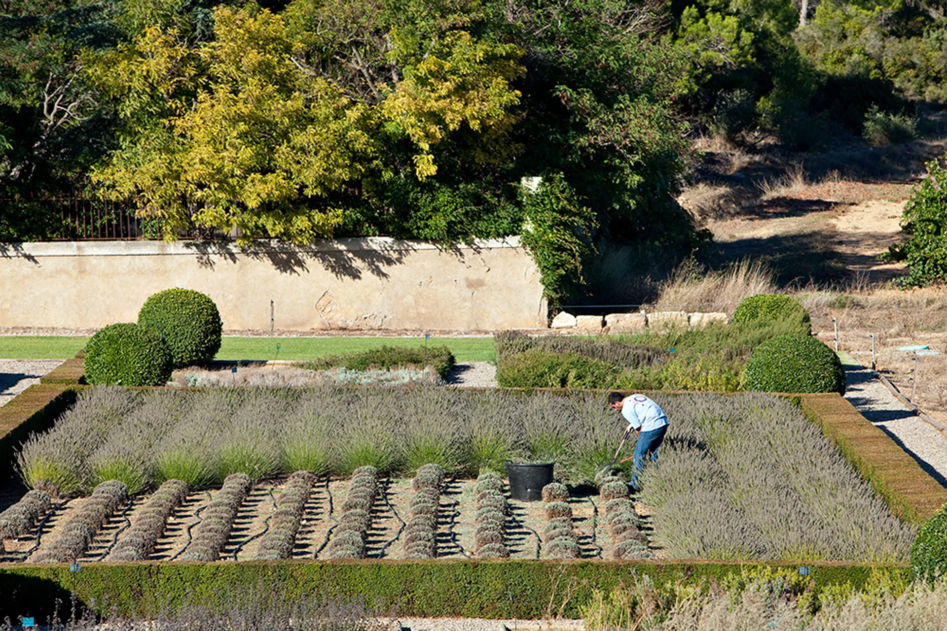 Visual aus dem Projekt Château Laquirou Winery — project image 3