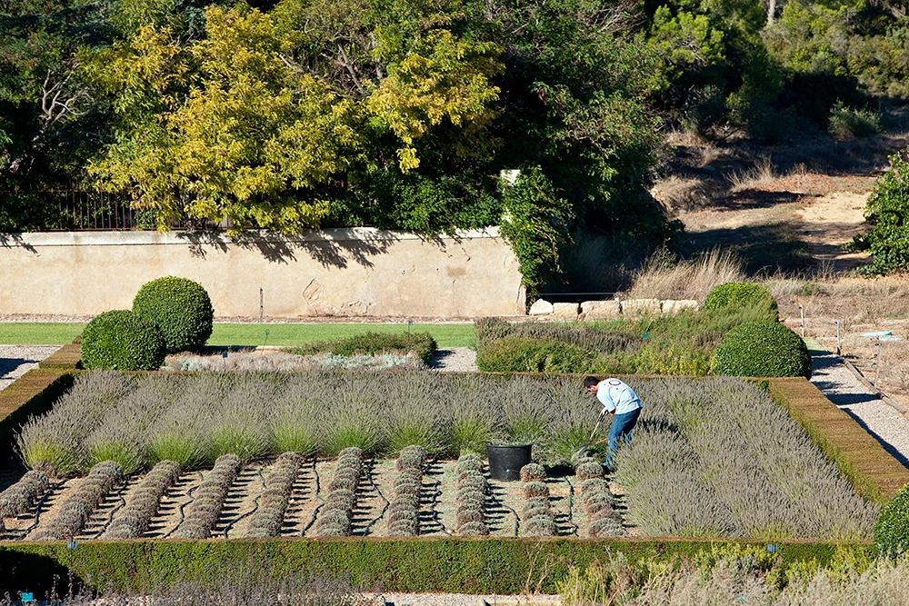 Изображение от проекта Château Laquirou Winery — project image 3