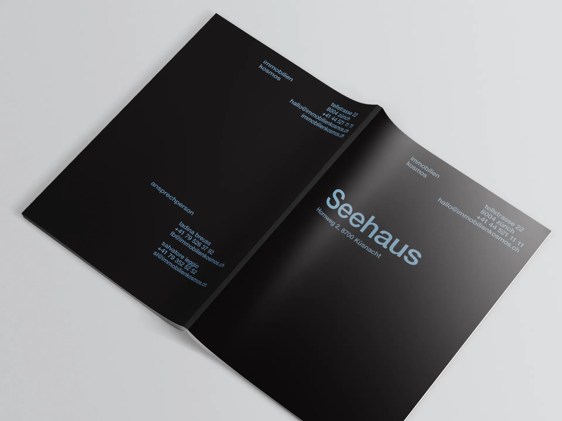 Изображение от проекта Seehaus Küsnacht — project image 1