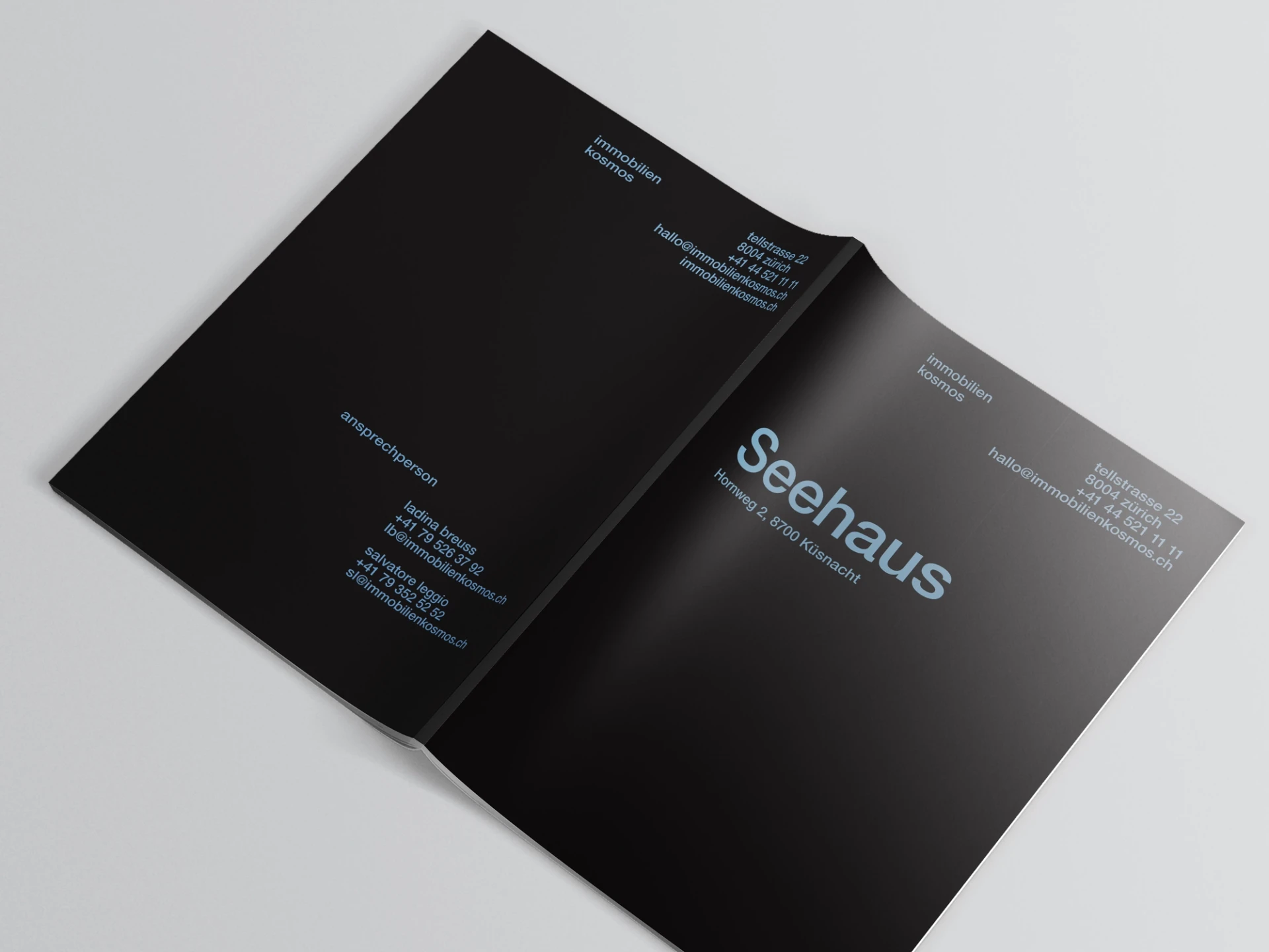 Към проект Seehaus Küsnacht