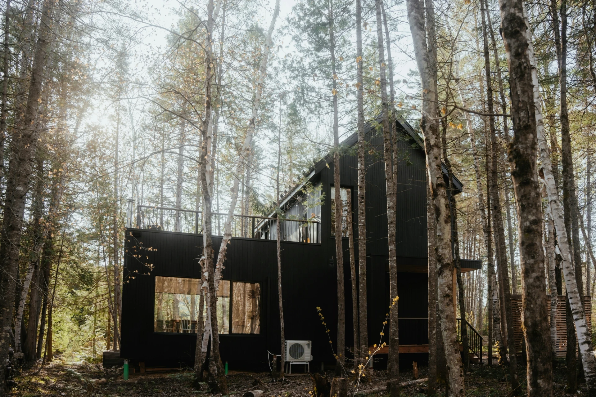 Изображение от проекта Laurentides — project image 7