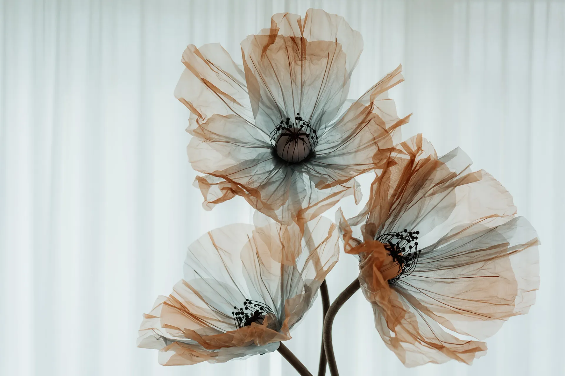 Visual aus dem Projekt Jolie Fleur — project image 7