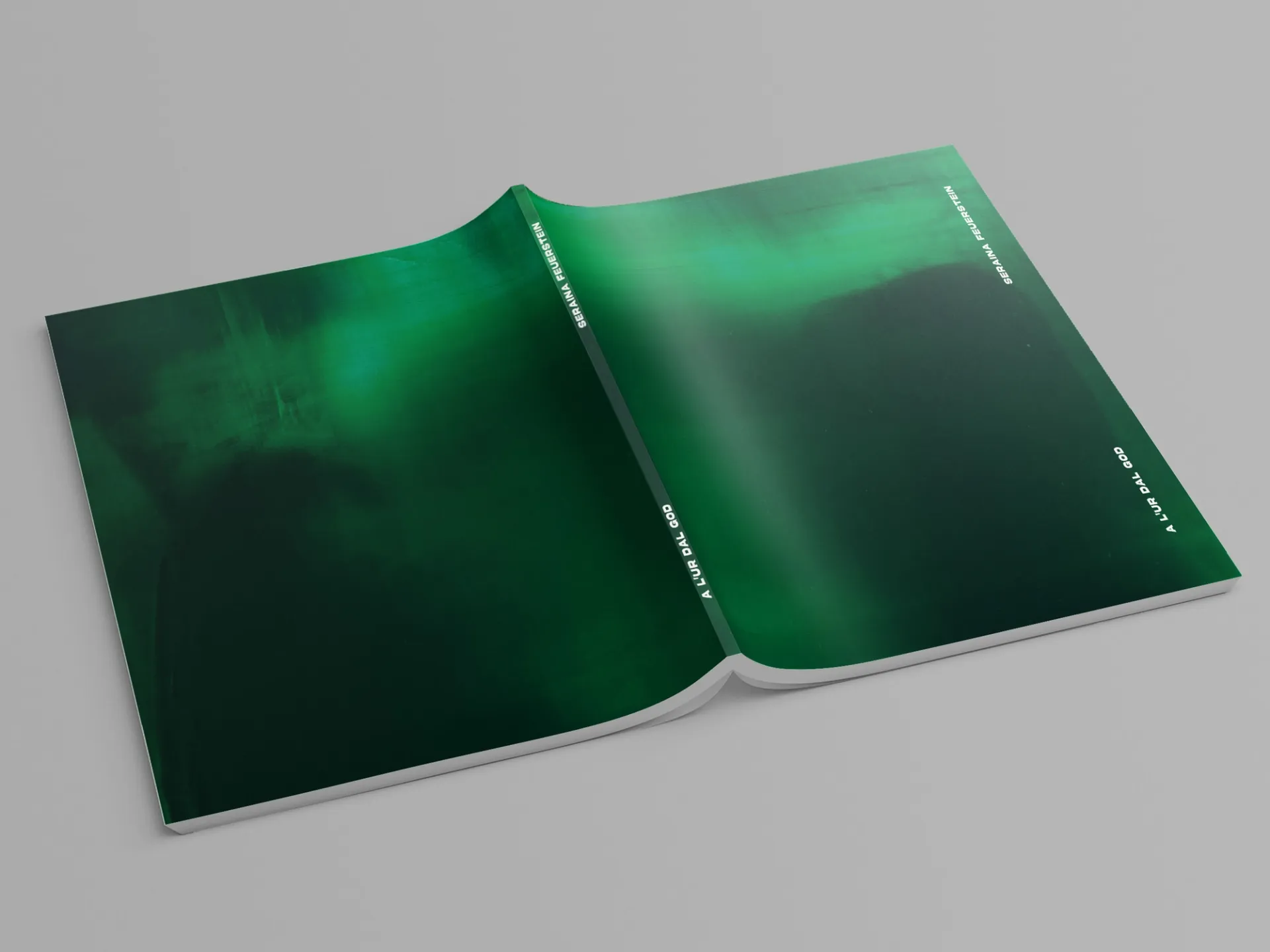 Изображение от проекта A l'ur dal gad — project image 14