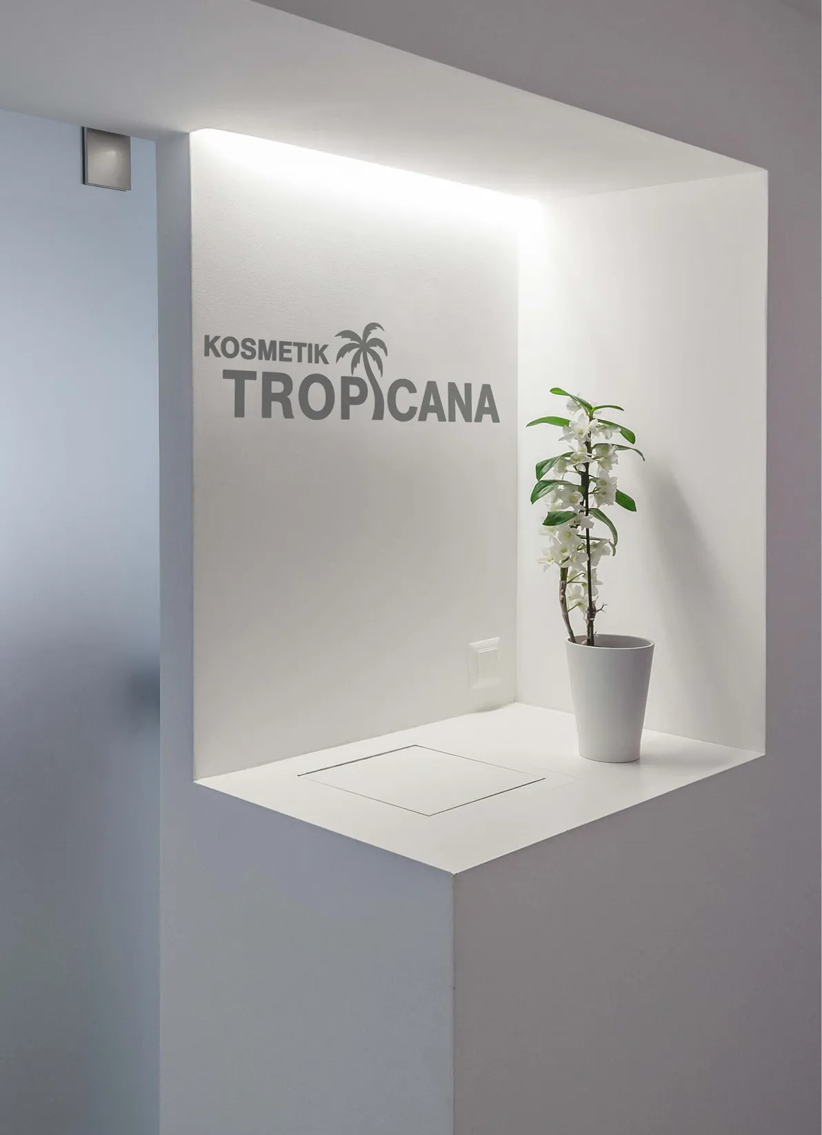 Към проект Tropicana Kosmetik