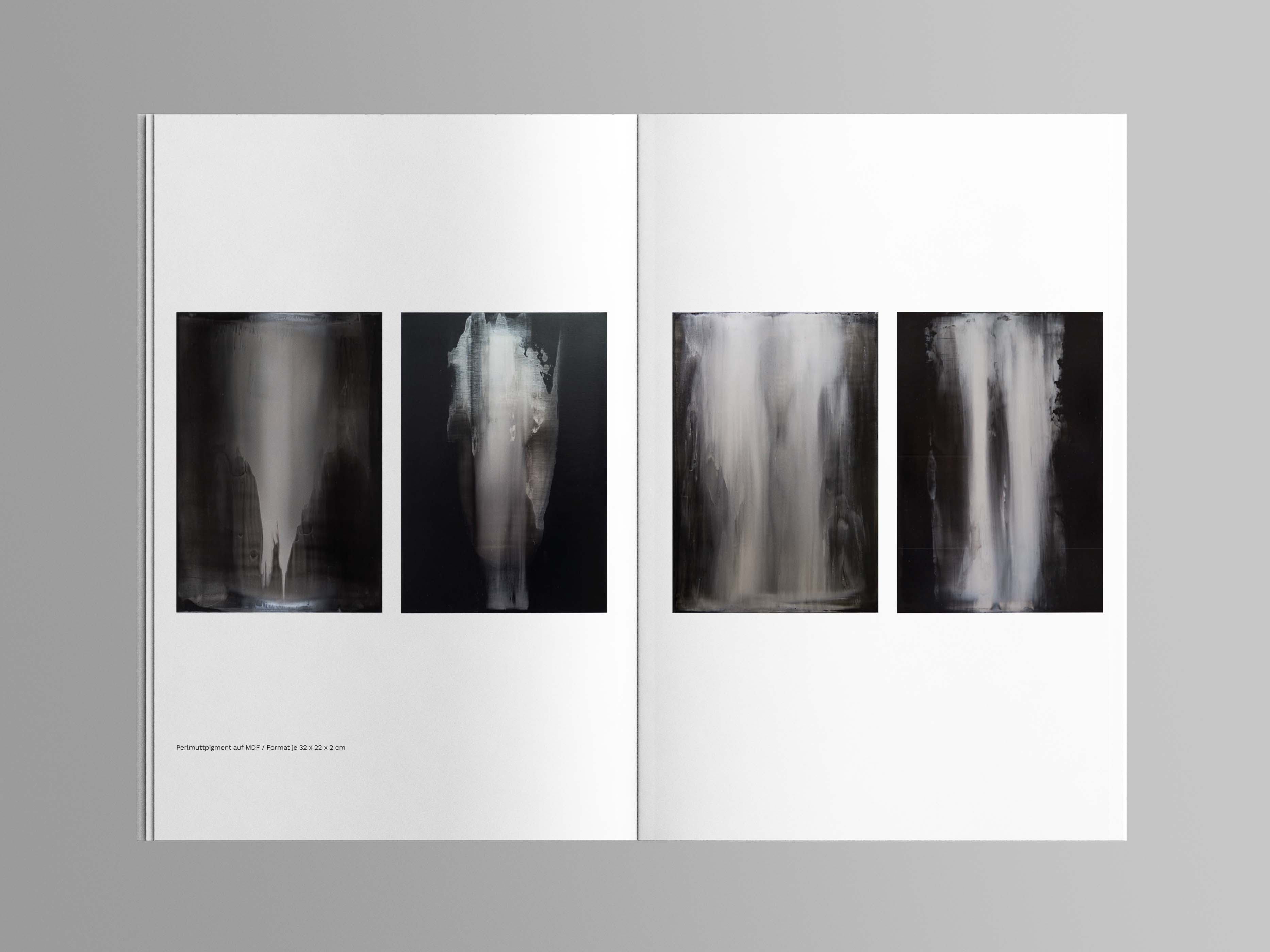 Visual from the A l'ur dal gad project — project image 13