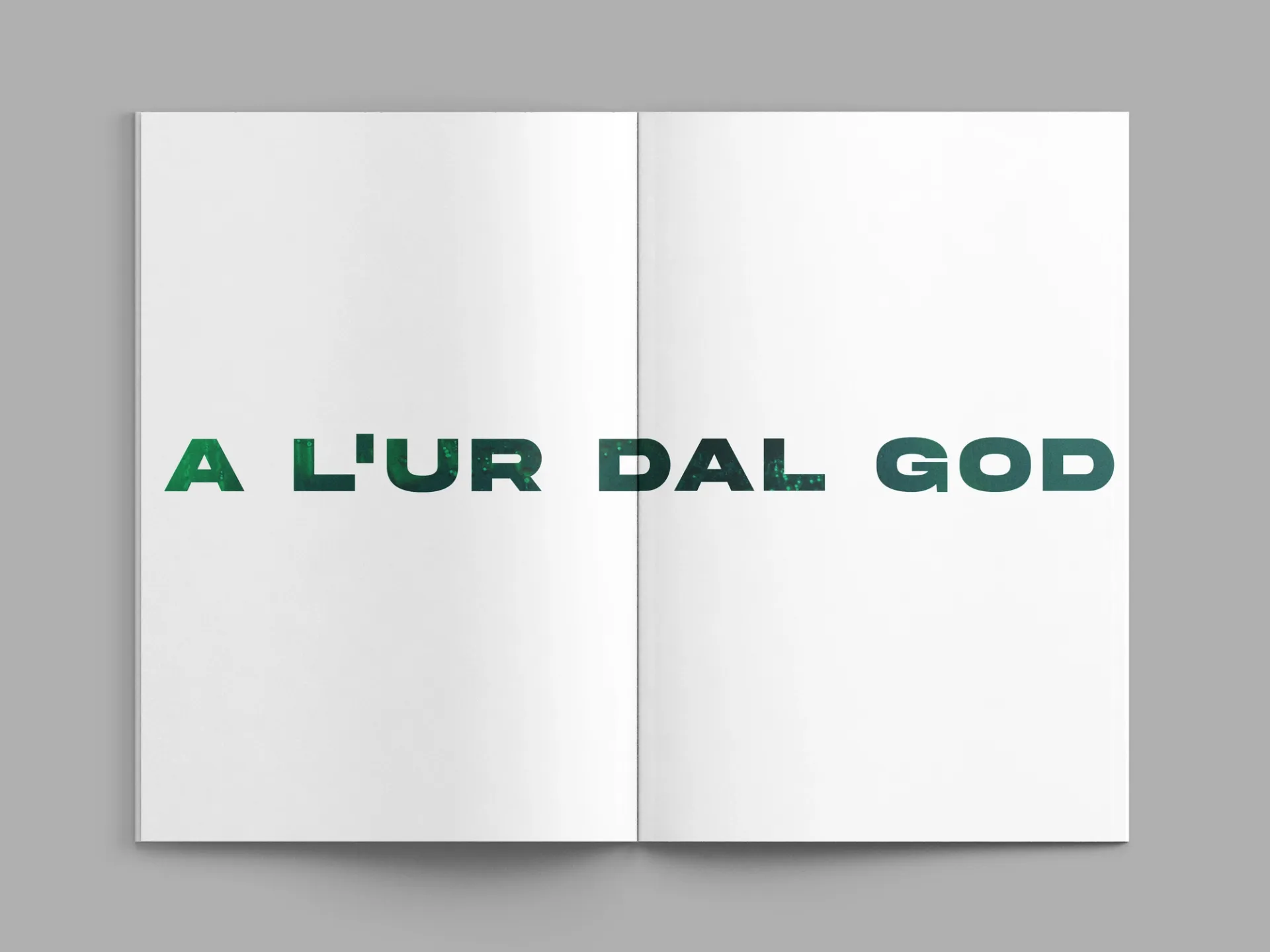 Изображение от проекта A l'ur dal gad — project image 2