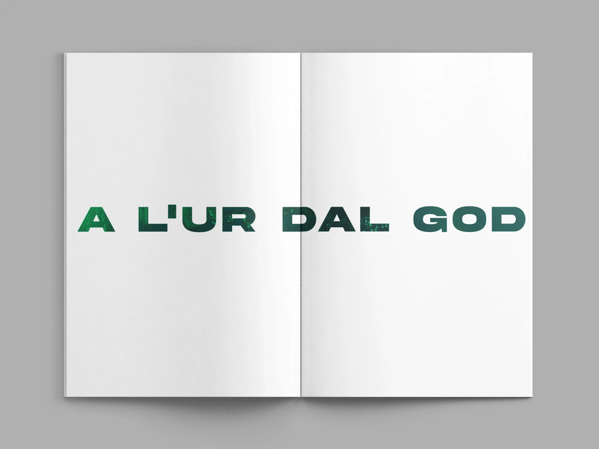 Visual from the A l'ur dal gad project — project image 2