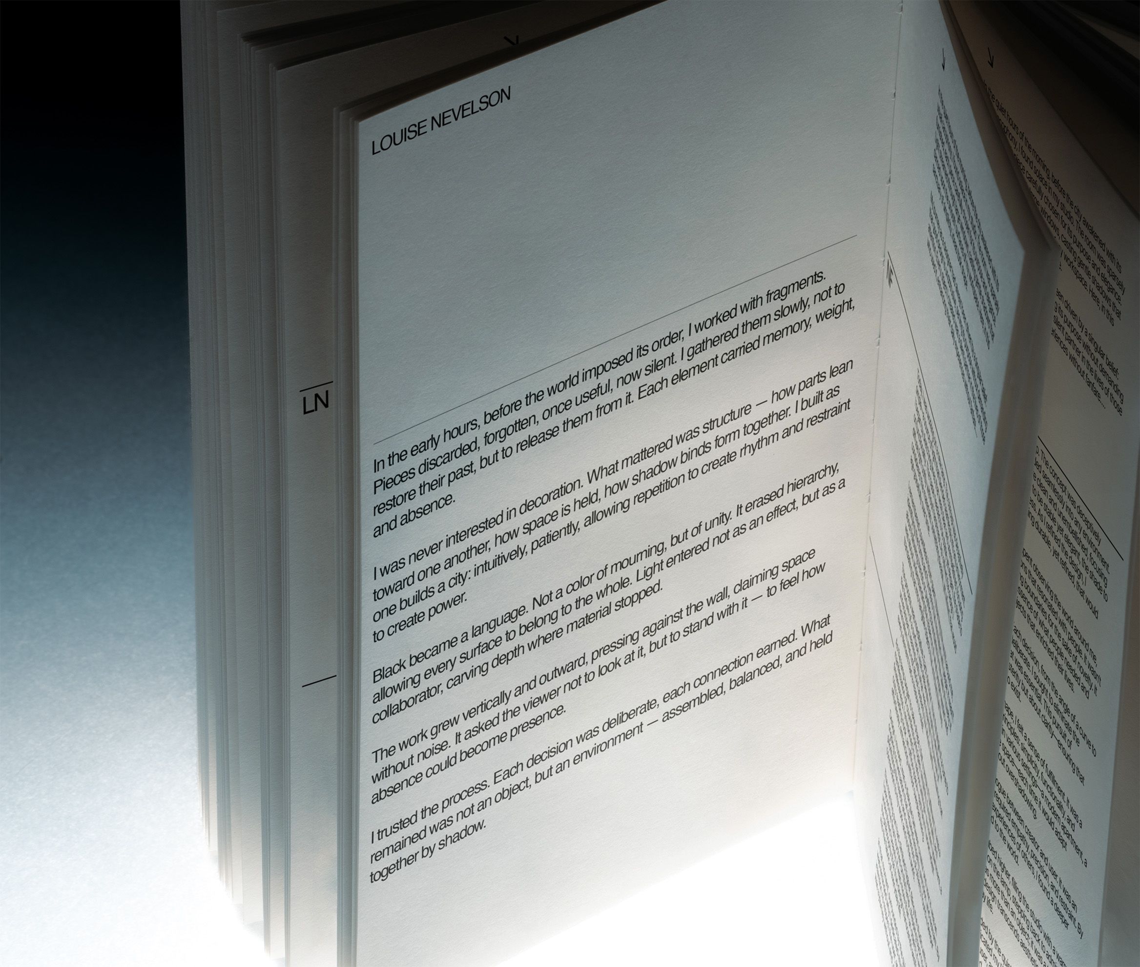 Visual from the Louise Nevelson project — project image 12