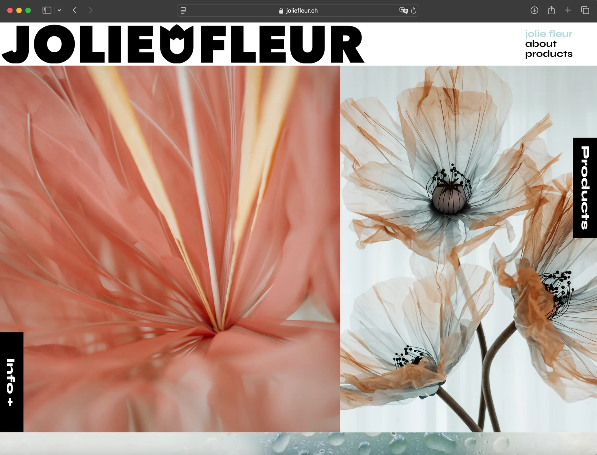 Go to project Jolie Fleur