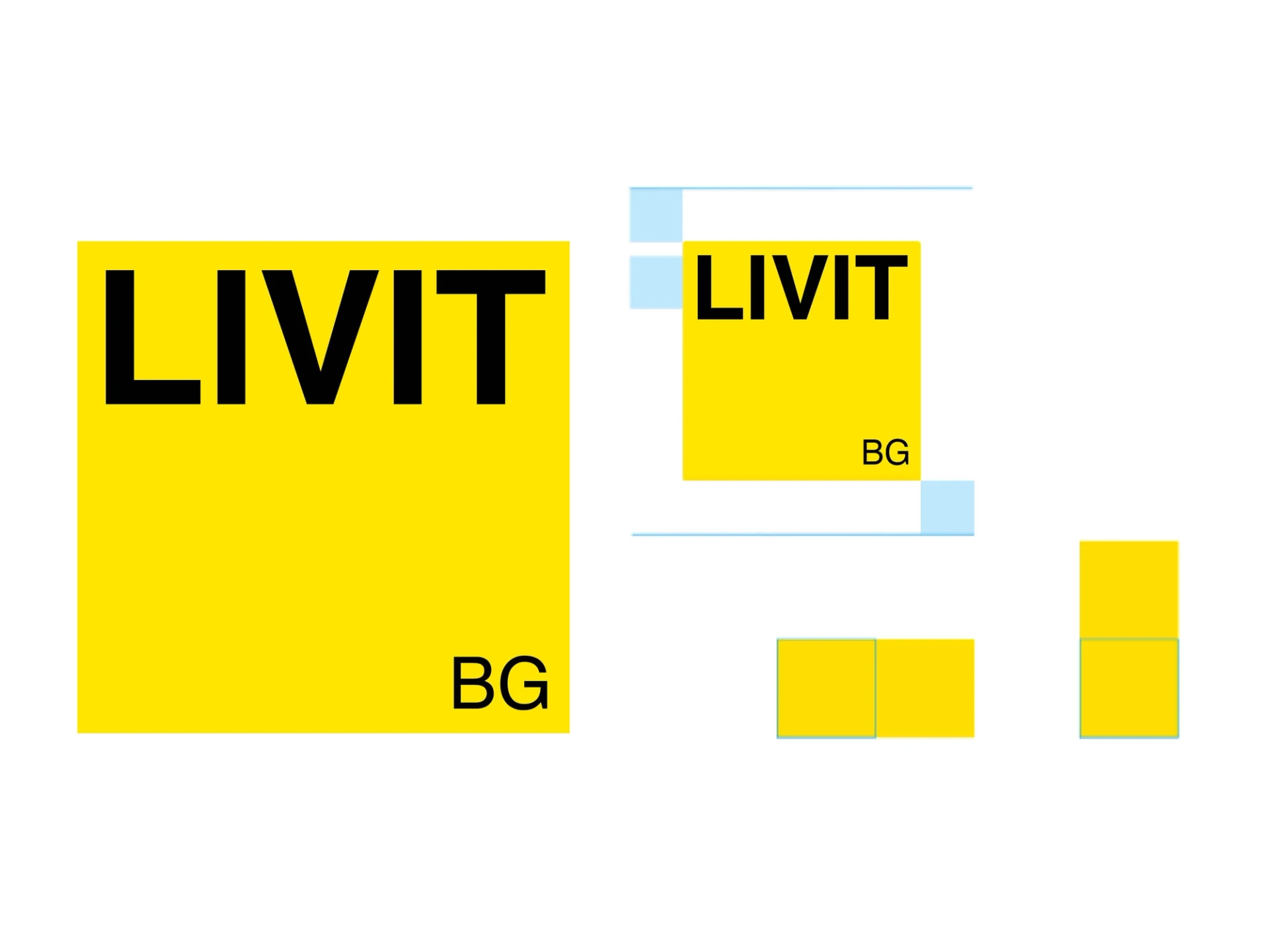 Go to project LIVIT BG