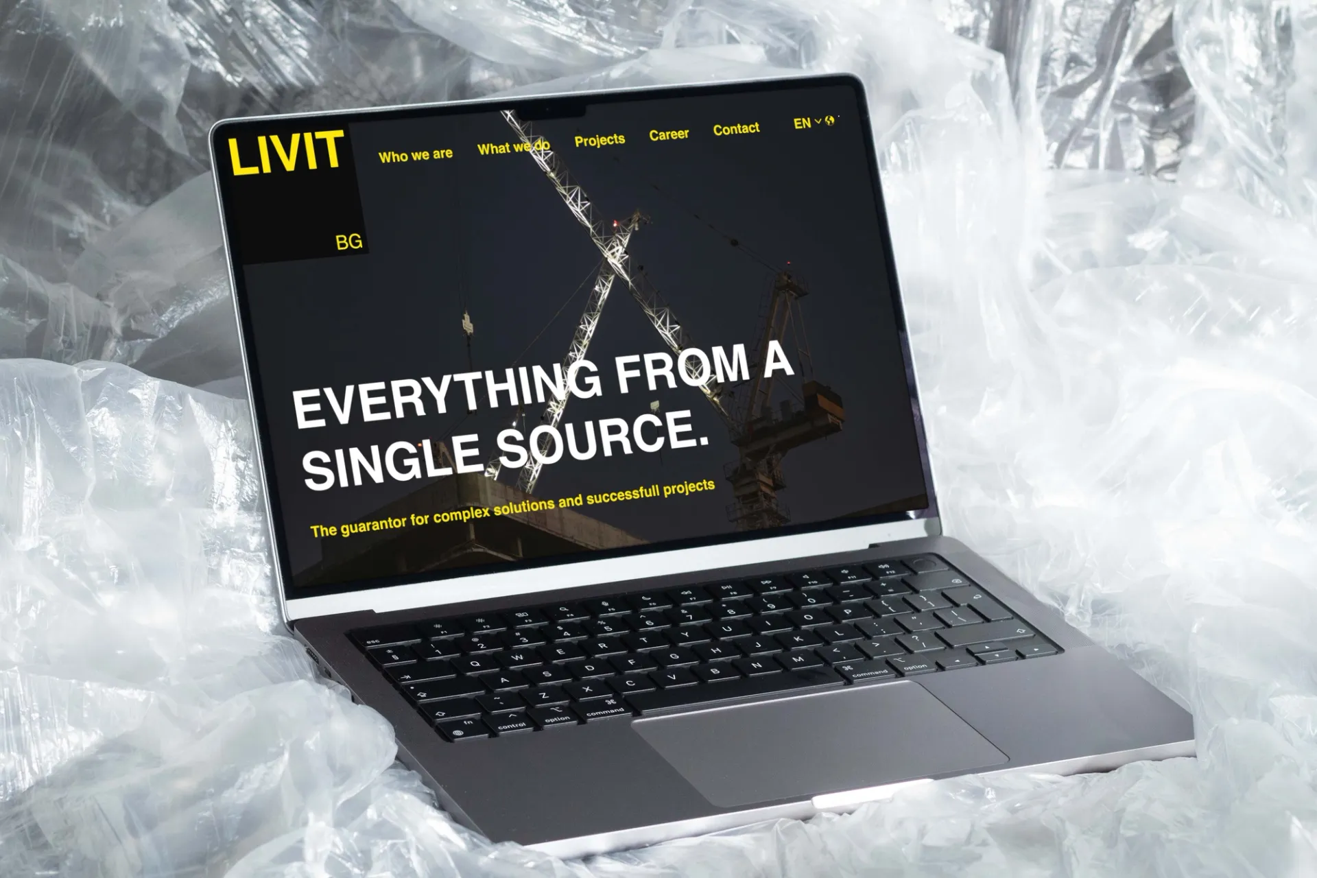 Visual aus dem Projekt LIVIT BG — project image 3