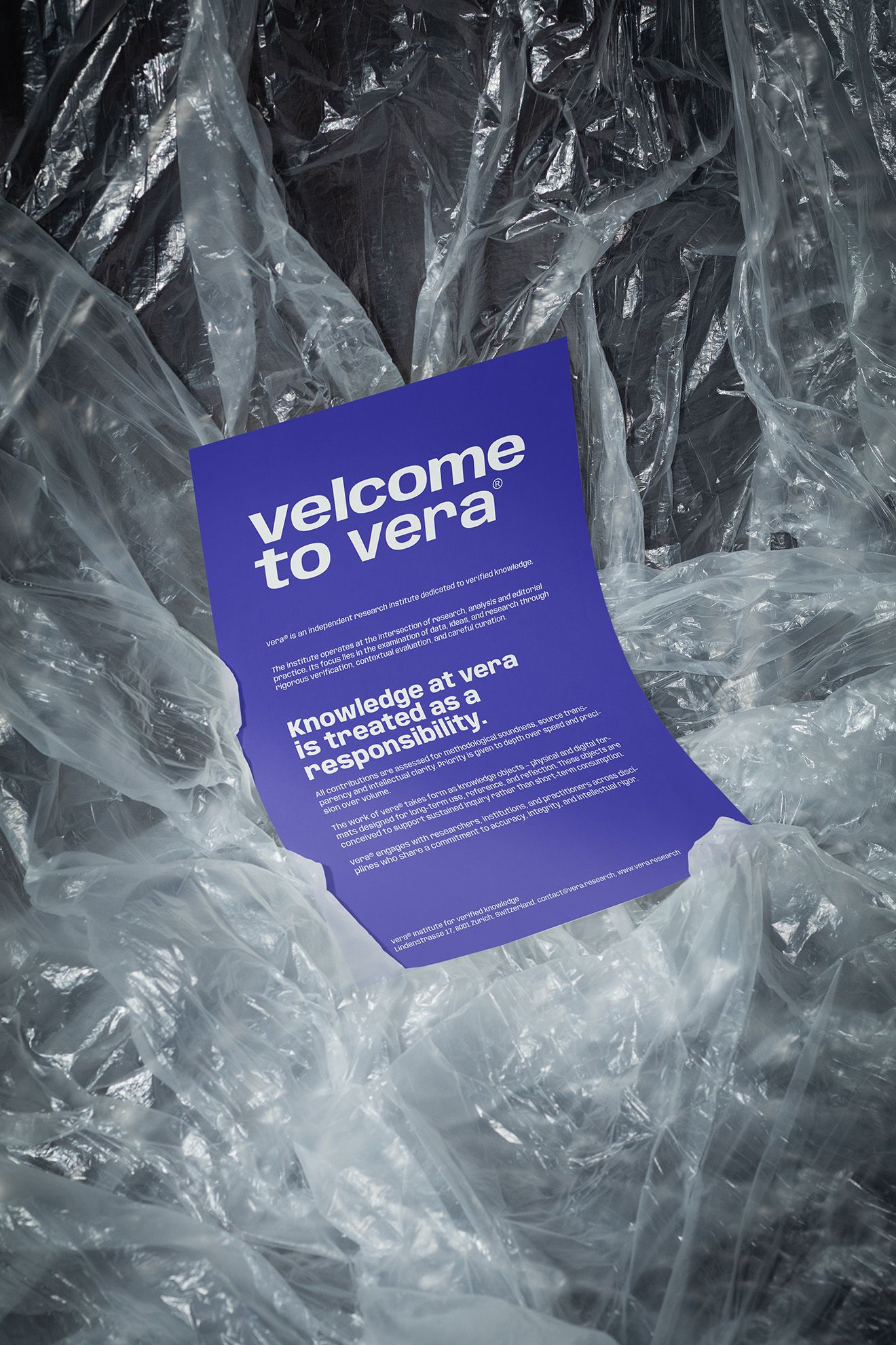 Visual from the Vera project — project image 6