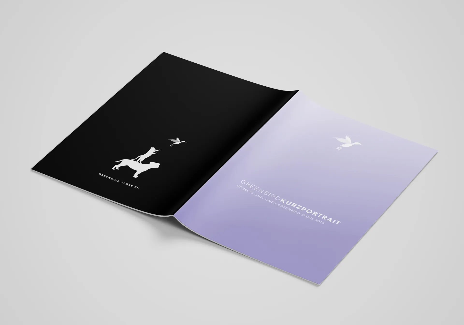 Изображение от проекта Greenbird — project image 15