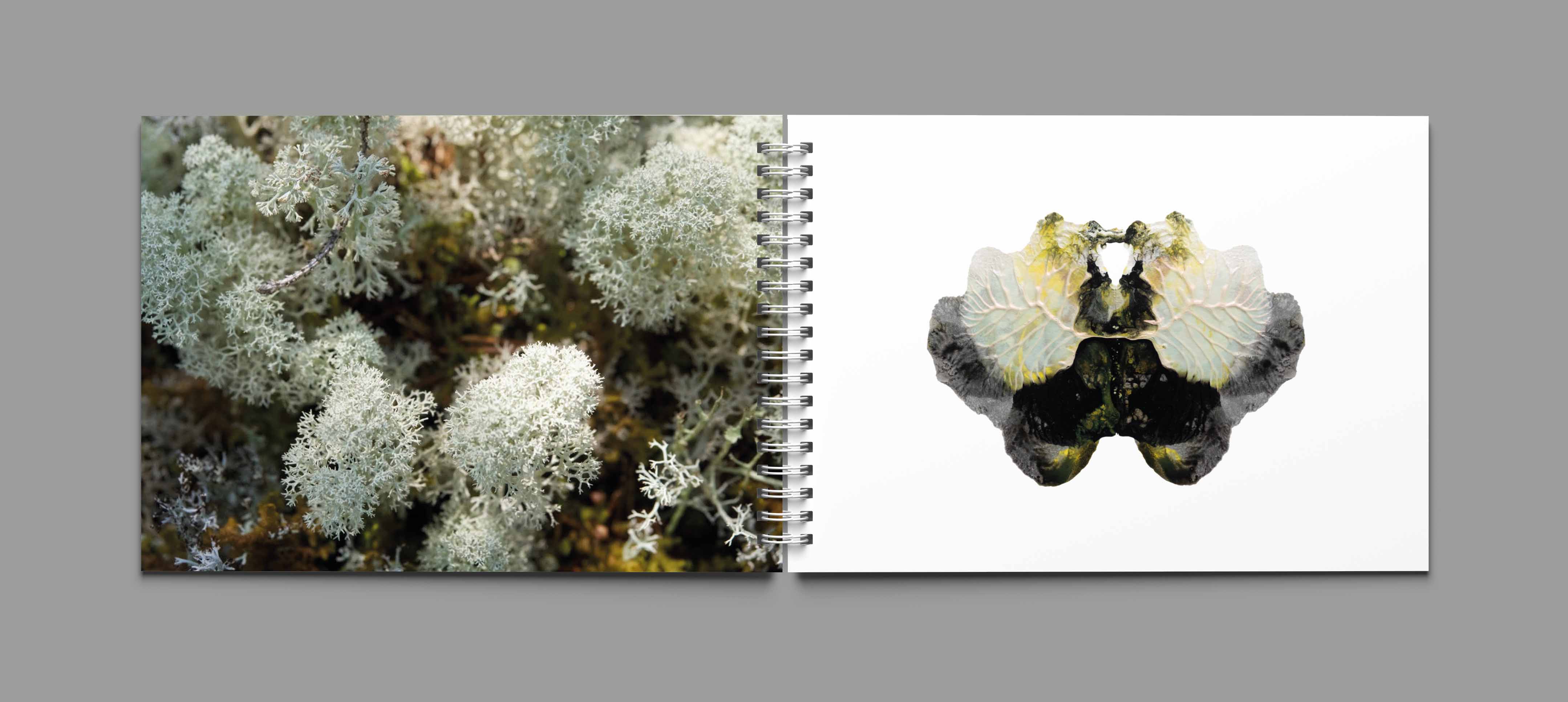 Visual from the Work Documentation project — project image 14