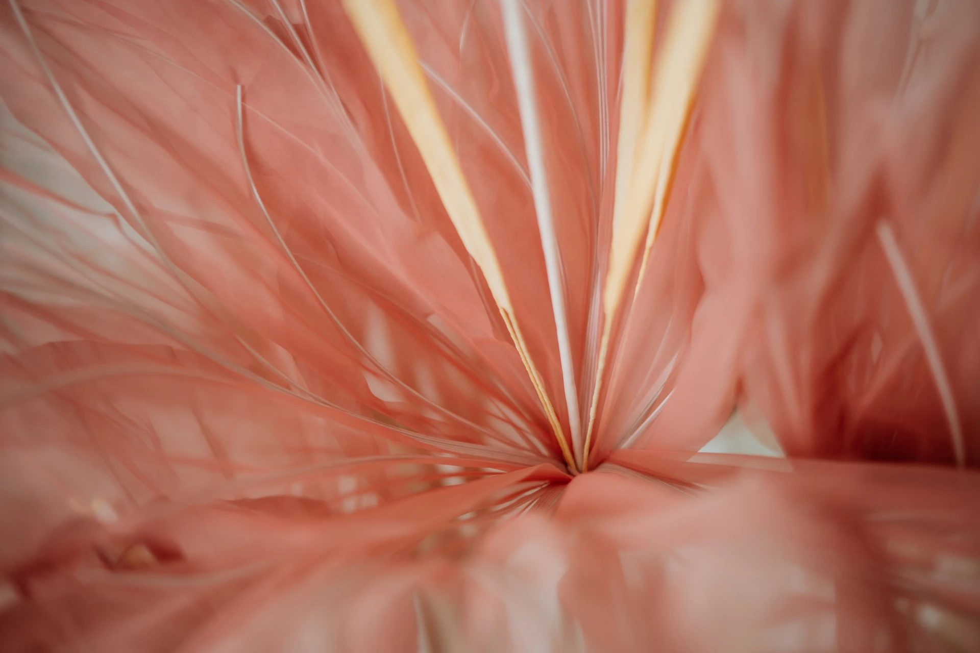 Visual aus dem Projekt Jolie Fleur — project image 13